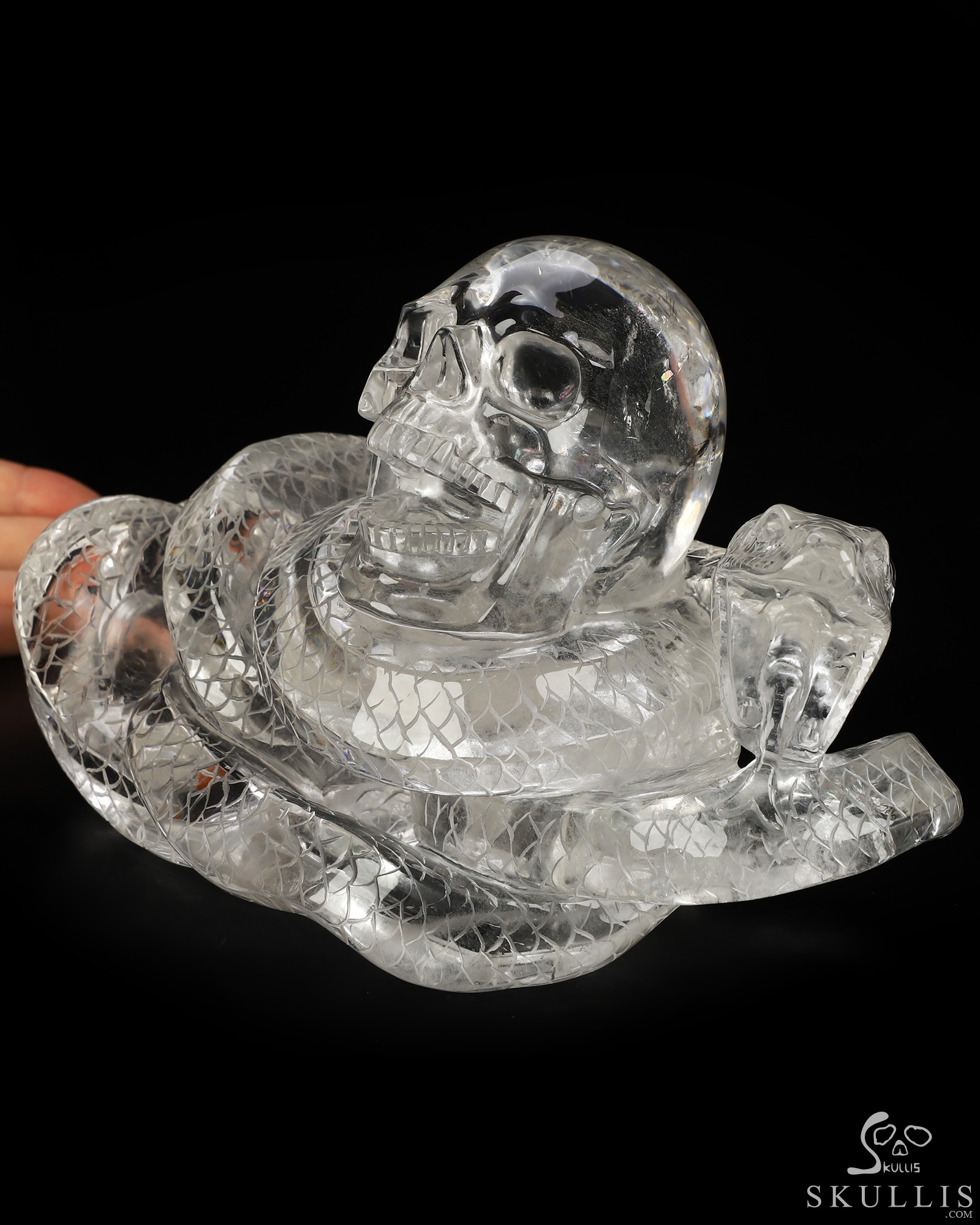 Aug 29, 2026 ACSAD (A Crystal Skull a Day) - The End Was Never the End - 7.9" Quartz Rock Crystal Hand Carved Snake & Crystal Skull Sculpture, Crystal Healing Aug 29, 2026 ACSAD (A Crystal Skull a Day) - The End Was Never the End - 7.9" Quartz Rock Crystal Hand Carved Snake & Crystal Skull Sculpture, Crystal Healing