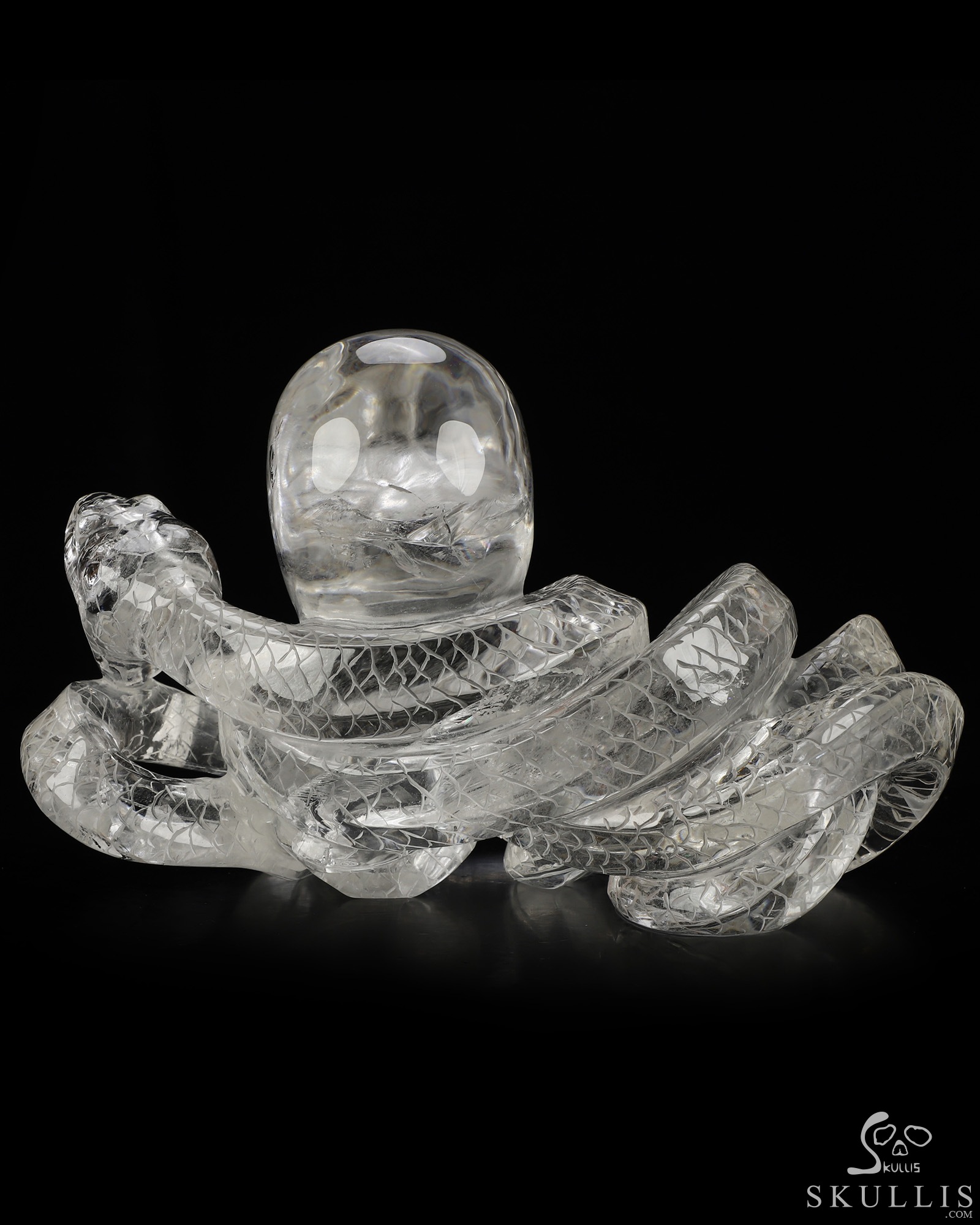 Aug 29, 2026 ACSAD (A Crystal Skull a Day) - The End Was Never the End - 7.9" Quartz Rock Crystal Hand Carved Snake & Crystal Skull Sculpture, Crystal Healing Aug 29, 2026 ACSAD (A Crystal Skull a Day) - The End Was Never the End - 7.9" Quartz Rock Crystal Hand Carved Snake & Crystal Skull Sculpture, Crystal Healing