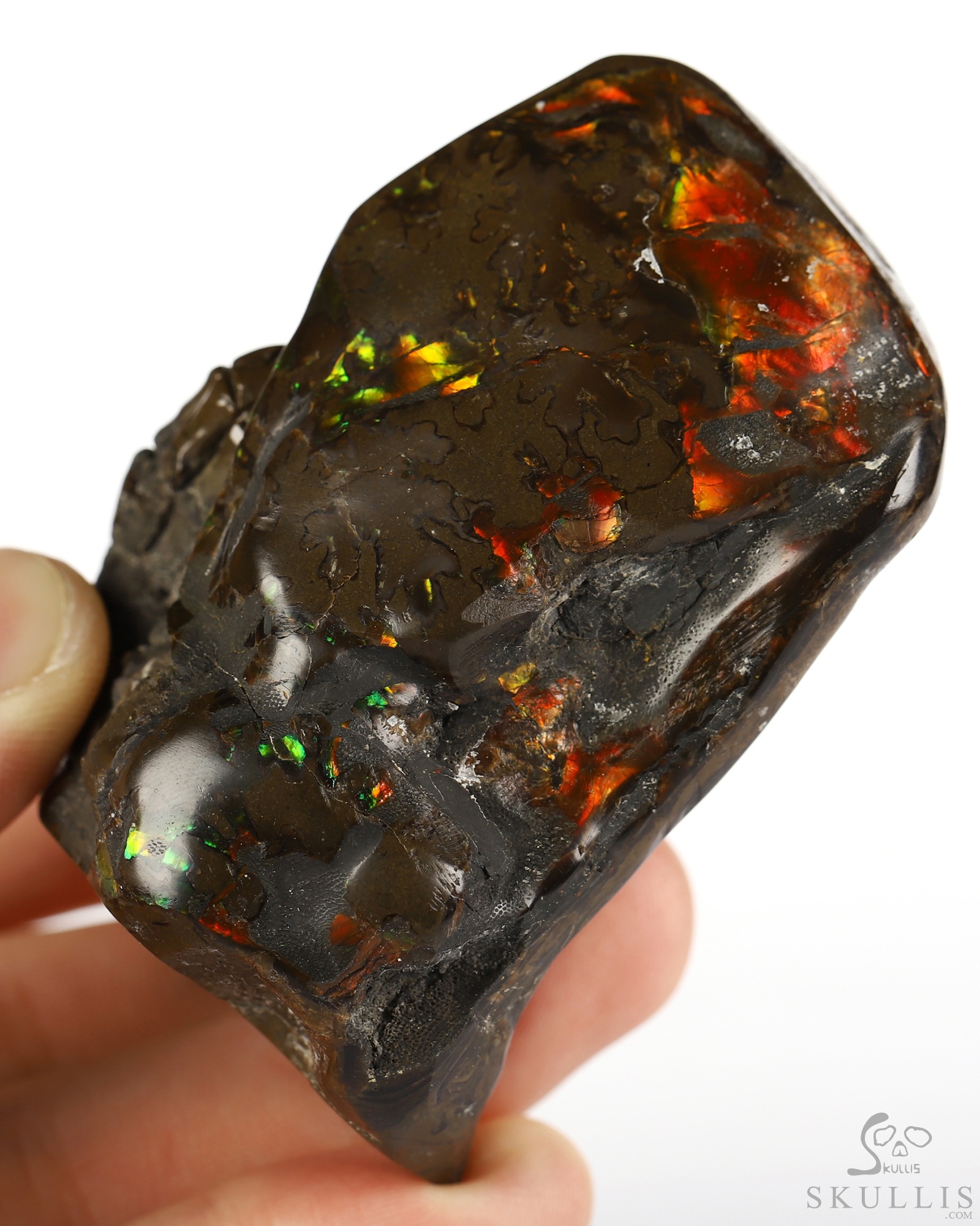 Sept 6, 2026 ACSAD (A Crystal Skull a Day) - Meditations in Ammolite - 2.4" Ammolite Hand Carved Crystal Skull Fine Art Sculpture with Hands Cradling its Chin, Crystal Healing Sept 6, 2026 ACSAD (A Crystal Skull a Day) - Meditations in Ammolite - 2.4" Ammolite Hand Carved Crystal Skull Fine Art Sculpture with Hands Cradling its Chin, Crystal Healing