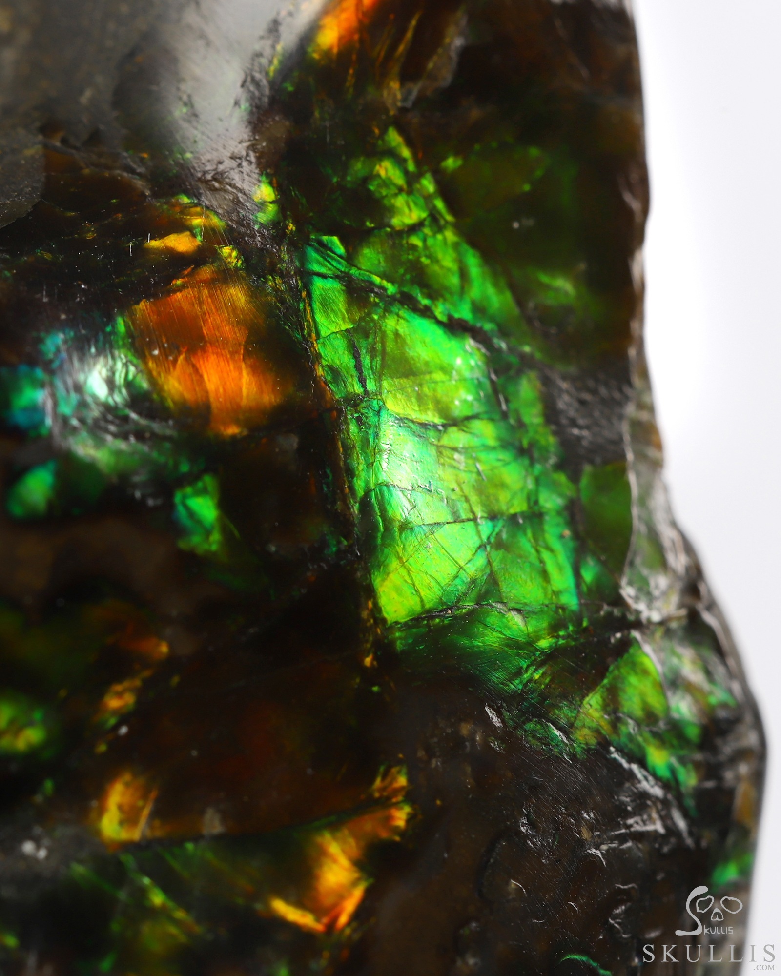 Sept 6, 2026 ACSAD (A Crystal Skull a Day) - Meditations in Ammolite - 2.4" Ammolite Hand Carved Crystal Skull Fine Art Sculpture with Hands Cradling its Chin, Crystal Healing Sept 6, 2026 ACSAD (A Crystal Skull a Day) - Meditations in Ammolite - 2.4" Ammolite Hand Carved Crystal Skull Fine Art Sculpture with Hands Cradling its Chin, Crystal Healing