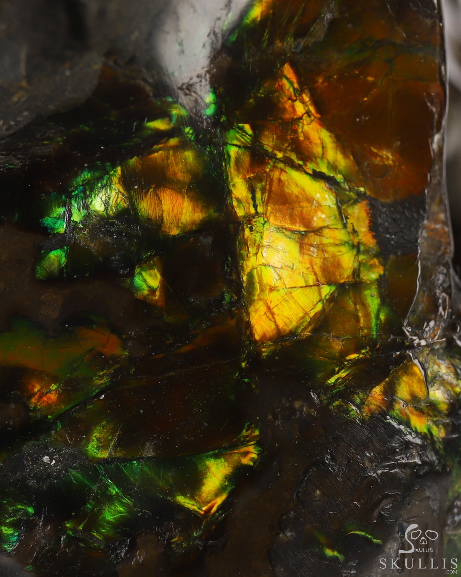Sept 6, 2026 ACSAD (A Crystal Skull a Day) - Meditations in Ammolite - 2.4" Ammolite Hand Carved Crystal Skull Fine Art Sculpture with Hands Cradling its Chin, Crystal Healing Sept 6, 2026 ACSAD (A Crystal Skull a Day) - Meditations in Ammolite - 2.4" Ammolite Hand Carved Crystal Skull Fine Art Sculpture with Hands Cradling its Chin, Crystal Healing