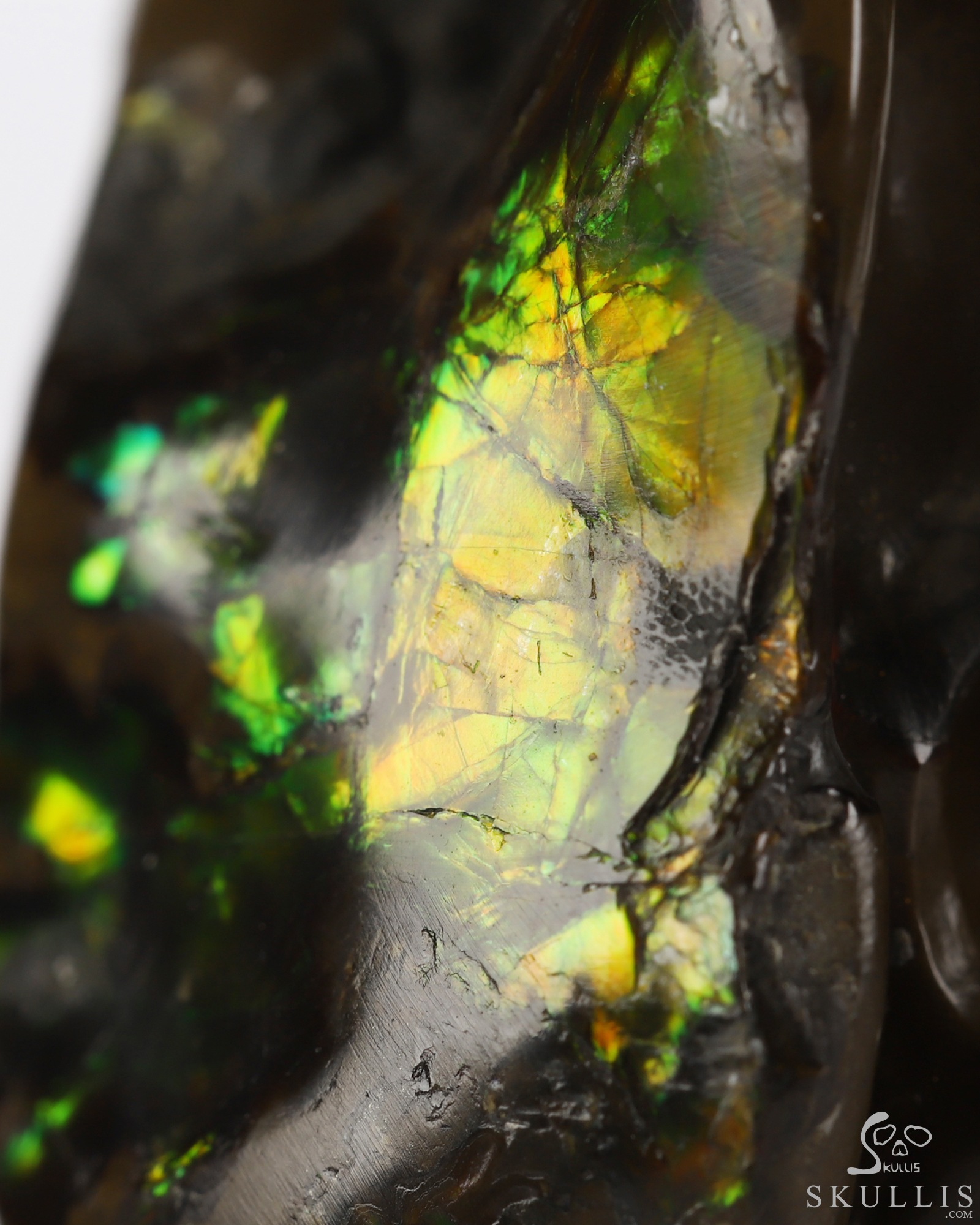 Sept 6, 2026 ACSAD (A Crystal Skull a Day) - Meditations in Ammolite - 2.4" Ammolite Hand Carved Crystal Skull Fine Art Sculpture with Hands Cradling its Chin, Crystal Healing Sept 6, 2026 ACSAD (A Crystal Skull a Day) - Meditations in Ammolite - 2.4" Ammolite Hand Carved Crystal Skull Fine Art Sculpture with Hands Cradling its Chin, Crystal Healing