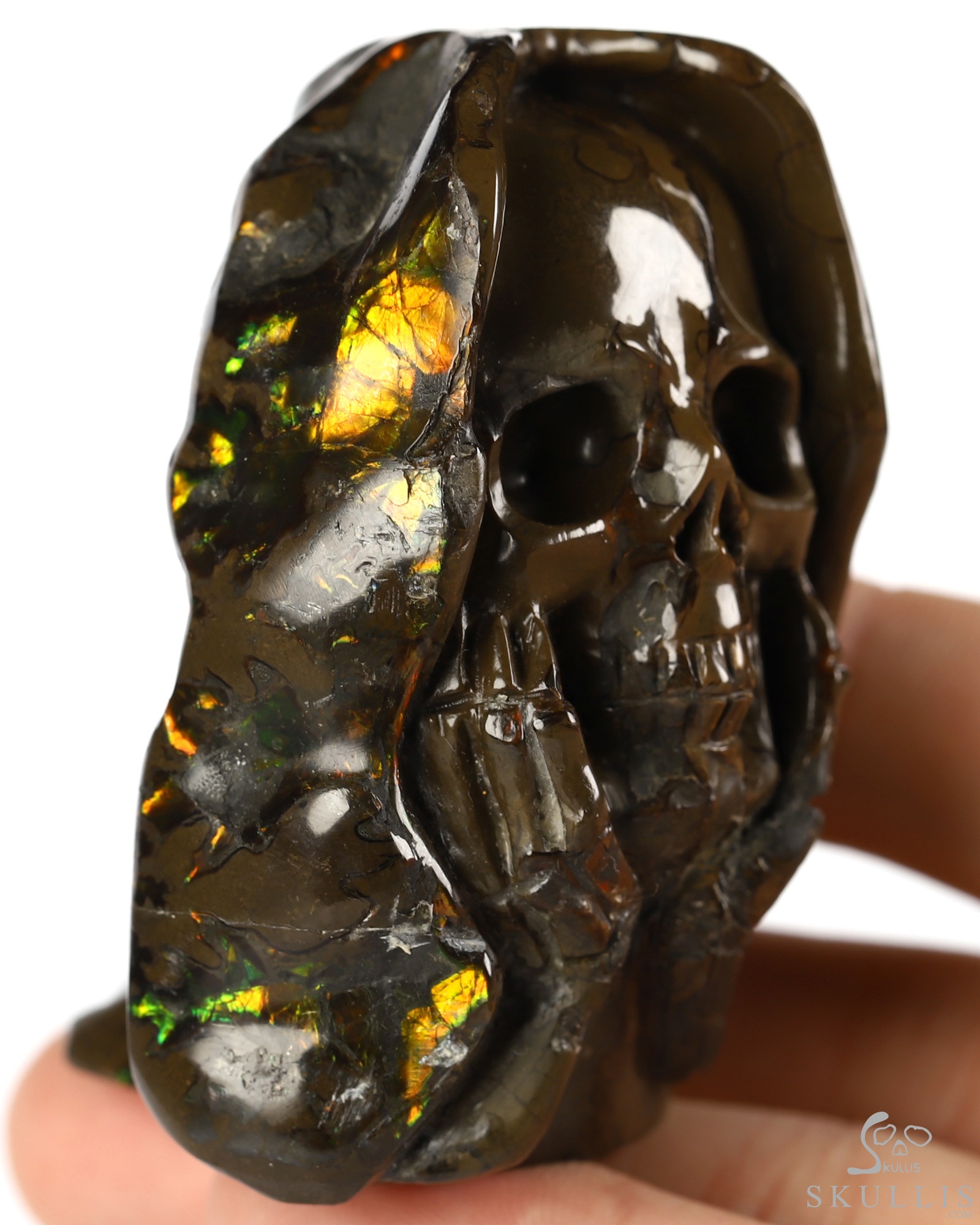 Sept 6, 2026 ACSAD (A Crystal Skull a Day) - Meditations in Ammolite - 2.4" Ammolite Hand Carved Crystal Skull Fine Art Sculpture with Hands Cradling its Chin, Crystal Healing Sept 6, 2026 ACSAD (A Crystal Skull a Day) - Meditations in Ammolite - 2.4" Ammolite Hand Carved Crystal Skull Fine Art Sculpture with Hands Cradling its Chin, Crystal Healing