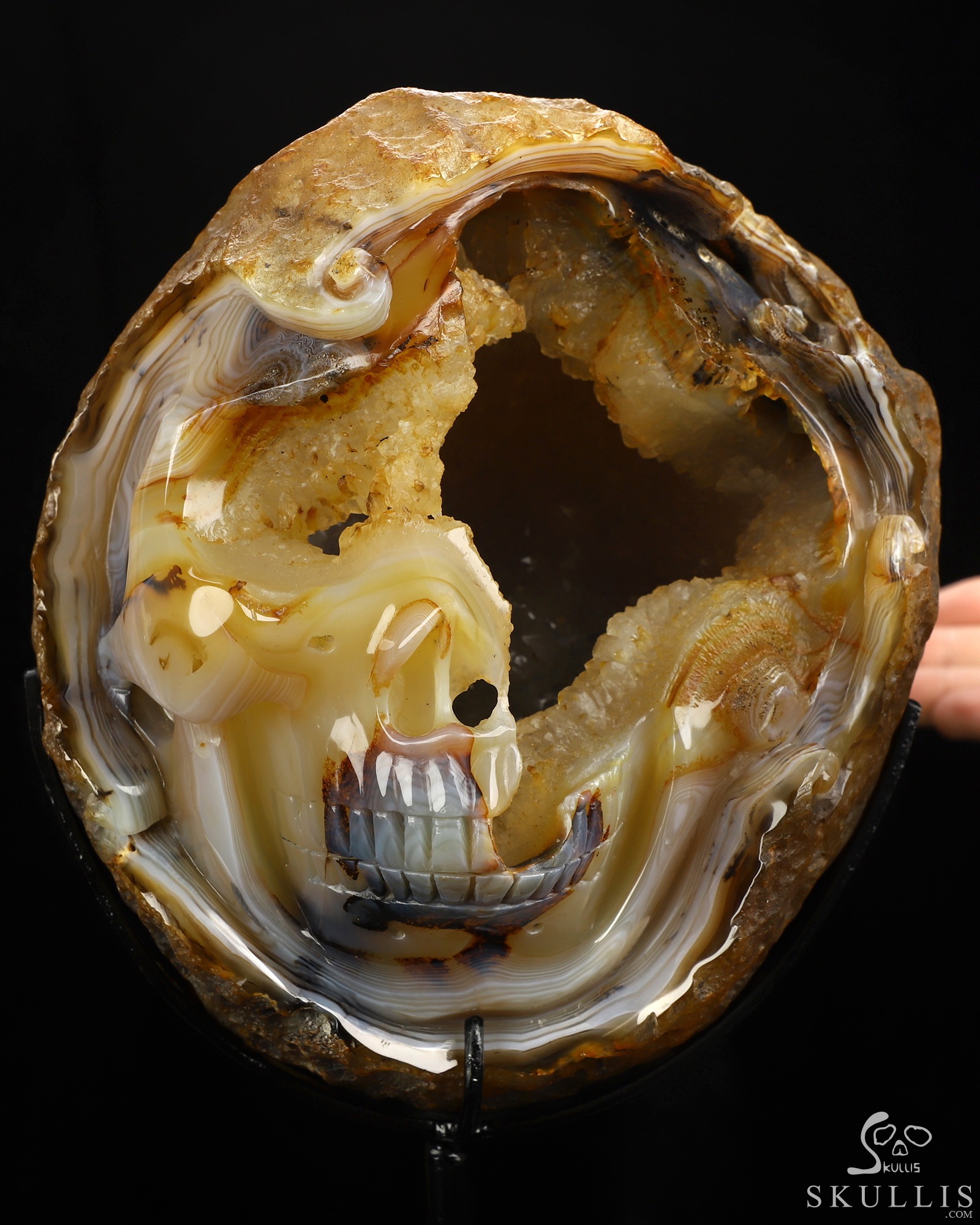 Sept 2, 2026 ACSAD (A Crystal Skull a Day) - Unfinished Dream - 6.7" Agate Geode Hand Carved Crystal Skull Fine Art Sculpture, Crystal Healing Sept 2, 2026 ACSAD (A Crystal Skull a Day) - Unfinished Dream - 6.7" Agate Geode Hand Carved Crystal Skull Fine Art Sculpture, Crystal Healing