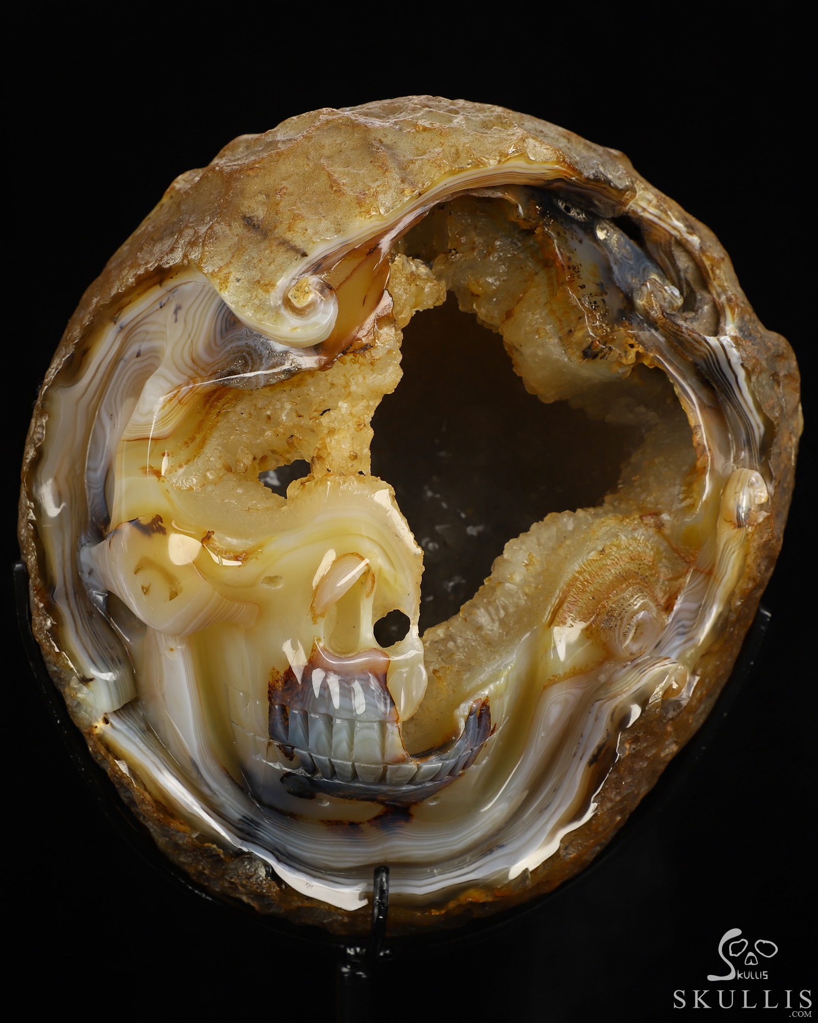 Sept 2, 2026 ACSAD (A Crystal Skull a Day) - Unfinished Dream - 6.7" Agate Geode Hand Carved Crystal Skull Fine Art Sculpture, Crystal Healing Sept 2, 2026 ACSAD (A Crystal Skull a Day) - Unfinished Dream - 6.7" Agate Geode Hand Carved Crystal Skull Fine Art Sculpture, Crystal Healing