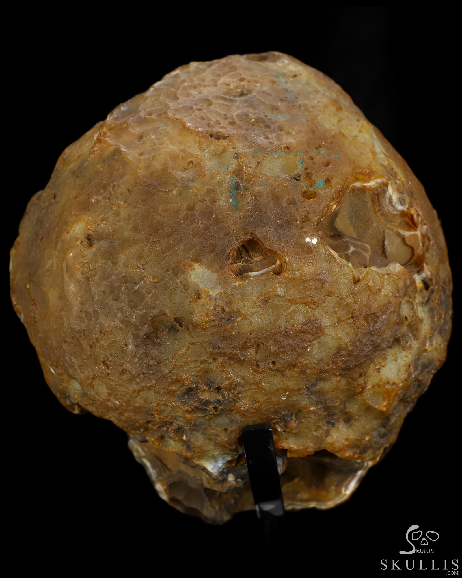 Sept 2, 2026 ACSAD (A Crystal Skull a Day) - Unfinished Dream - 6.7" Agate Geode Hand Carved Crystal Skull Fine Art Sculpture, Crystal Healing Sept 2, 2026 ACSAD (A Crystal Skull a Day) - Unfinished Dream - 6.7" Agate Geode Hand Carved Crystal Skull Fine Art Sculpture, Crystal Healing