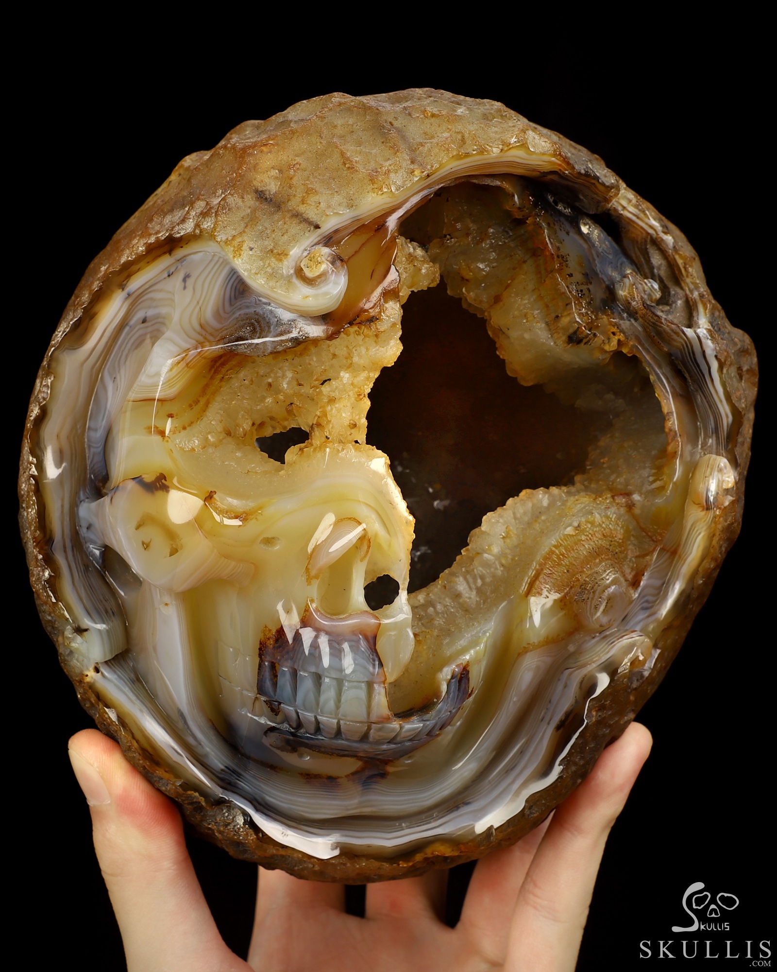 Sept 2, 2026 ACSAD (A Crystal Skull a Day) - Unfinished Dream - 6.7" Agate Geode Hand Carved Crystal Skull Fine Art Sculpture, Crystal Healing Sept 2, 2026 ACSAD (A Crystal Skull a Day) - Unfinished Dream - 6.7" Agate Geode Hand Carved Crystal Skull Fine Art Sculpture, Crystal Healing