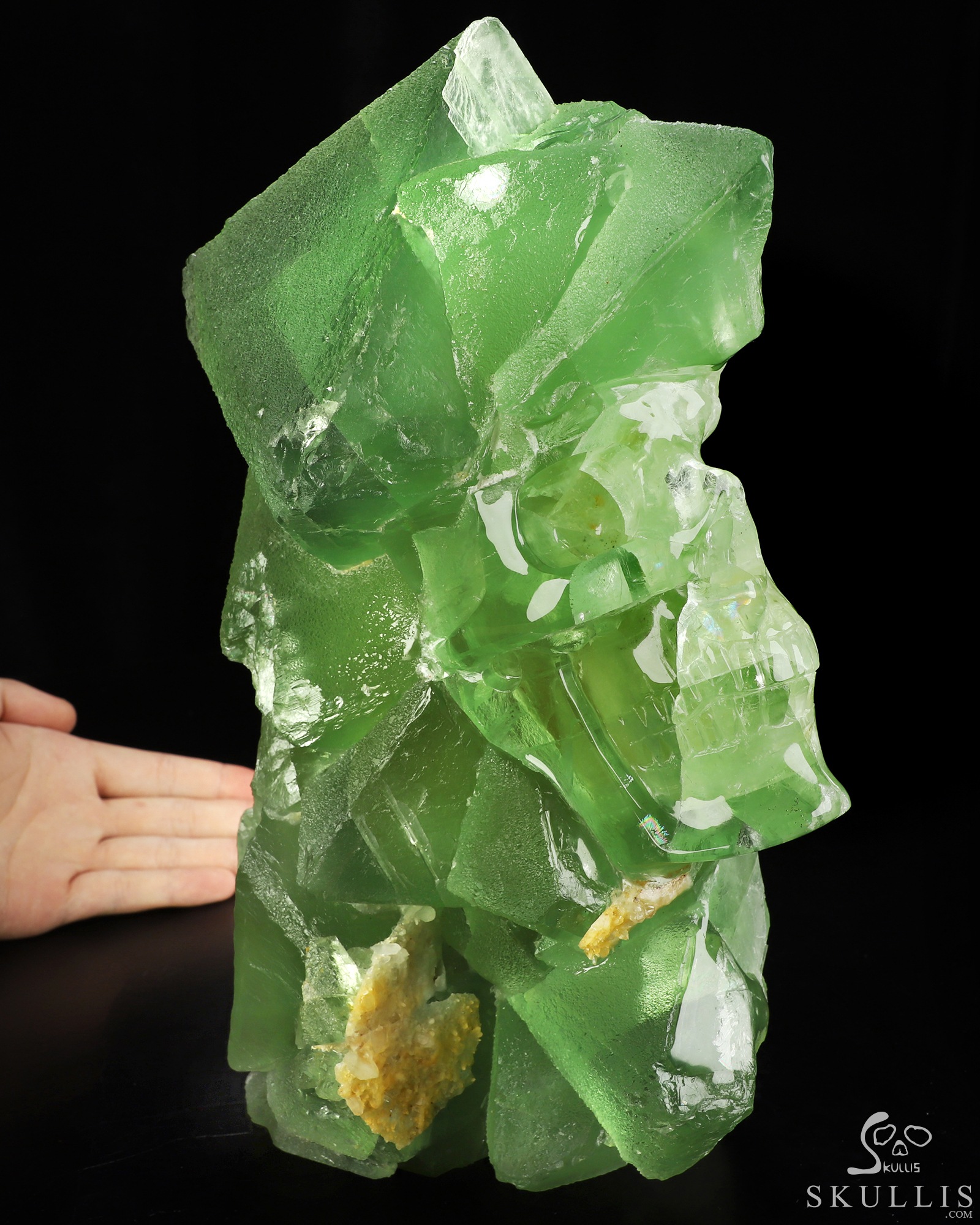 Oct 24, 2026 ACSAD (A Crystal Skull a Day) - Beneath the Green, a World - 11.6" Fluorite Hand Carved Crystal Skull Fine Art Sculpture, Crystal Healing Oct 24, 2026 ACSAD (A Crystal Skull a Day) - Beneath the Green, a World - 11.6" Fluorite Hand Carved Crystal Skull Fine Art Sculpture, Crystal Healing
