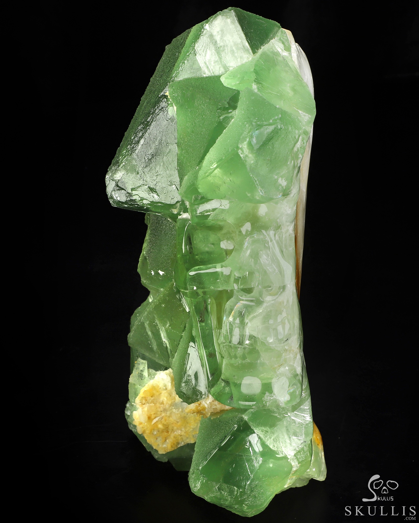 Oct 24, 2026 ACSAD (A Crystal Skull a Day) - Beneath the Green, a World - 11.6" Fluorite Hand Carved Crystal Skull Fine Art Sculpture, Crystal Healing Oct 24, 2026 ACSAD (A Crystal Skull a Day) - Beneath the Green, a World - 11.6" Fluorite Hand Carved Crystal Skull Fine Art Sculpture, Crystal Healing