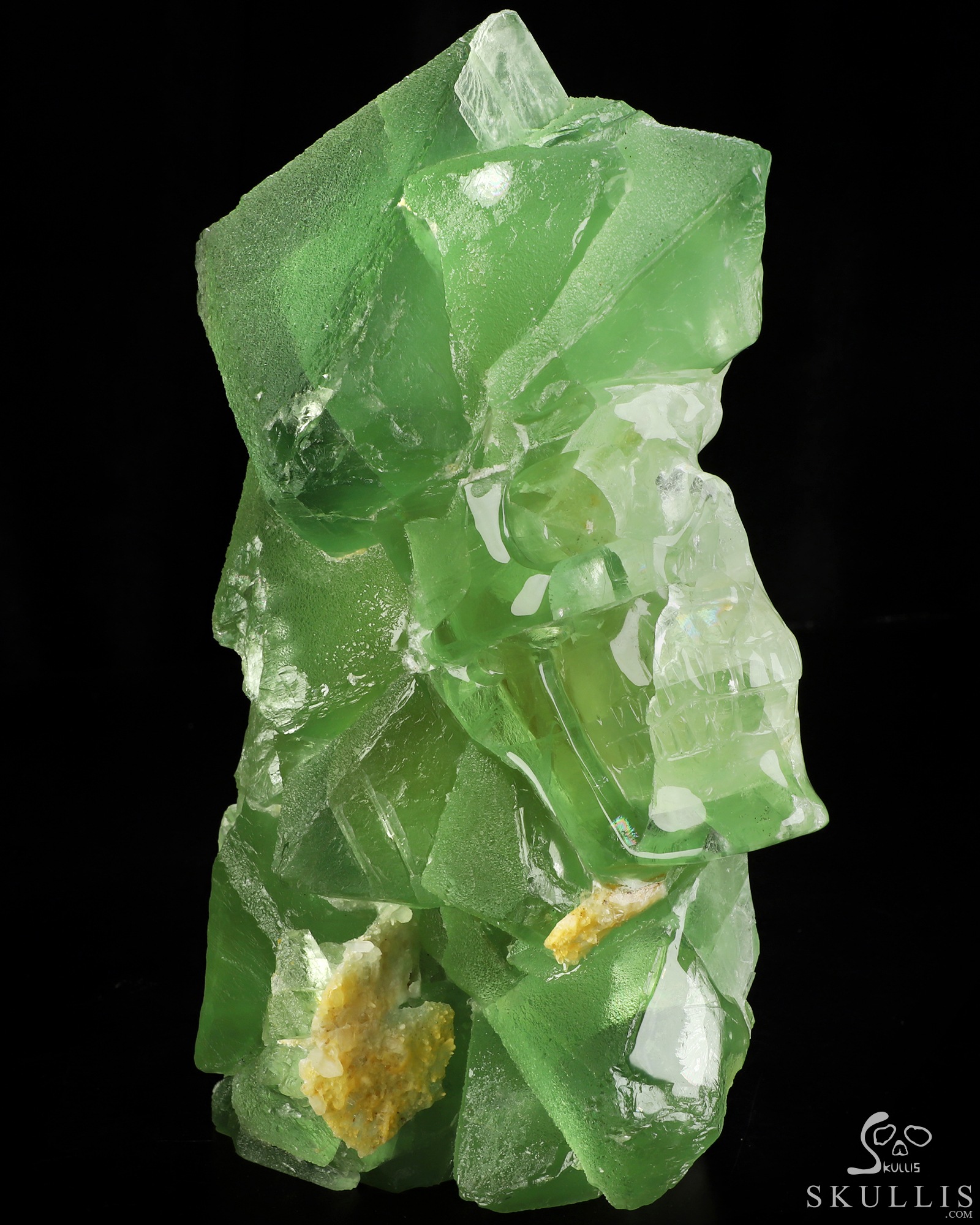 Oct 24, 2026 ACSAD (A Crystal Skull a Day) - Beneath the Green, a World - 11.6" Fluorite Hand Carved Crystal Skull Fine Art Sculpture, Crystal Healing Oct 24, 2026 ACSAD (A Crystal Skull a Day) - Beneath the Green, a World - 11.6" Fluorite Hand Carved Crystal Skull Fine Art Sculpture, Crystal Healing