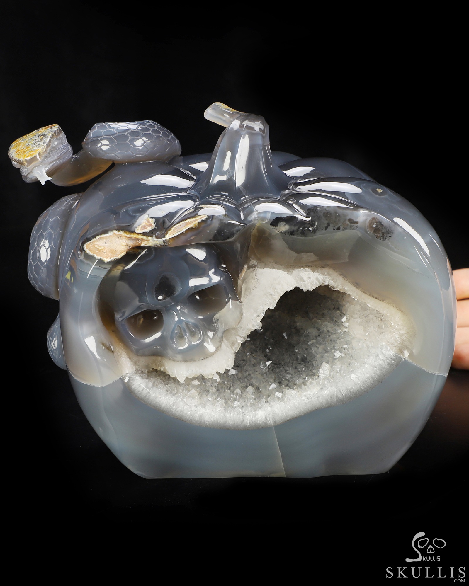 Sept 17, 2026 ACSAD (A Crystal Skull a Day) - The Crystal Hideaway - 6.7" Agate Geode Hand Carved Pumpkin & Crystal Skull Fine Art Sculpture, Crystal Healing Sept 17, 2026 ACSAD (A Crystal Skull a Day) - The Crystal Hideaway - 6.7" Agate Geode Hand Carved Pumpkin & Crystal Skull Fine Art Sculpture, Crystal Healing
