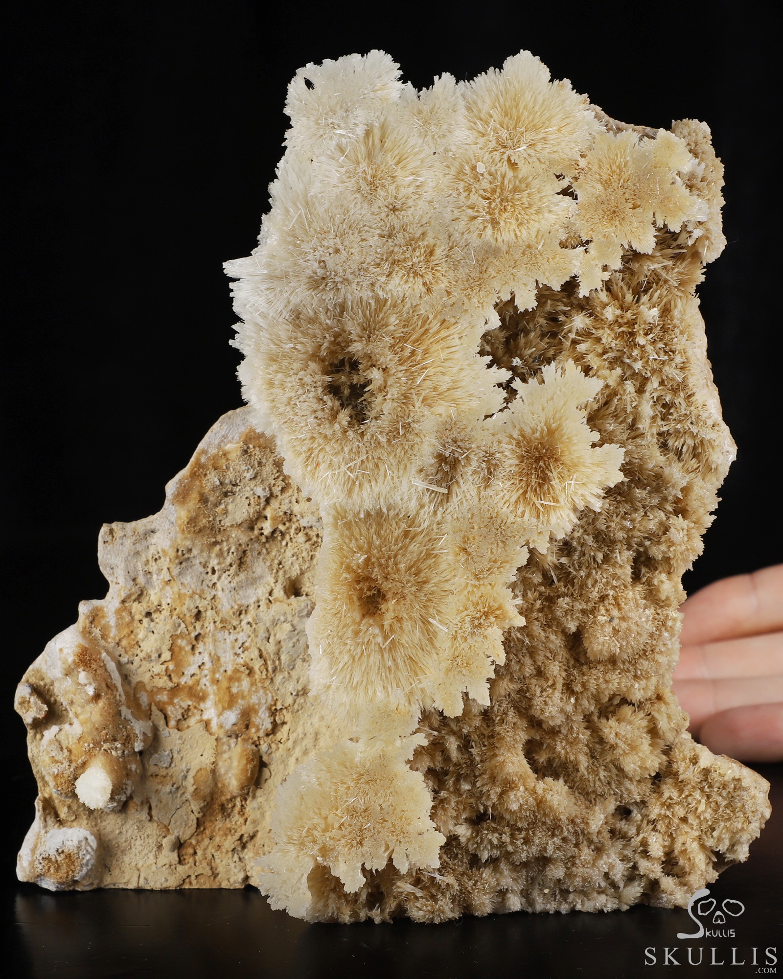 Sept 26, 2026 ACSAD (A Crystal Skull a Day) - Nature Was the Sculptor - 6.3" Hand Carved Scolecite & Mesolite Cluster on Basalt Matrix Specimen Crystal Skull Silhouette Fine Art Sculpture, Crystal Healing Sept 26, 2026 ACSAD (A Crystal Skull a Day) - Nature Was the Sculptor - 6.3" Hand Carved Scolecite & Mesolite Cluster on Basalt Matrix Specimen Crystal Skull Silhouette Fine Art Sculpture, Crystal Healing