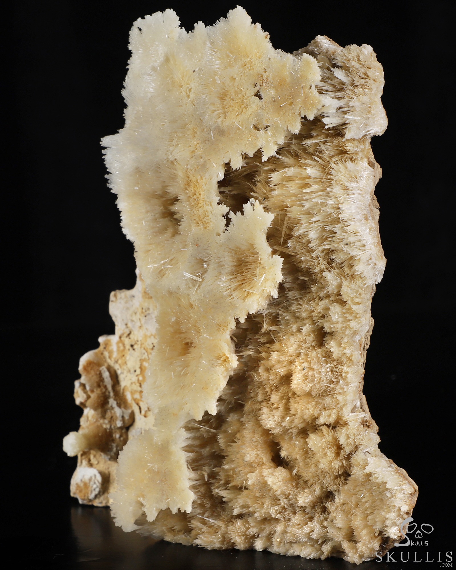 Sept 26, 2026 ACSAD (A Crystal Skull a Day) - Nature Was the Sculptor - 6.3" Hand Carved Scolecite & Mesolite Cluster on Basalt Matrix Specimen Crystal Skull Silhouette Fine Art Sculpture, Crystal Healing Sept 26, 2026 ACSAD (A Crystal Skull a Day) - Nature Was the Sculptor - 6.3" Hand Carved Scolecite & Mesolite Cluster on Basalt Matrix Specimen Crystal Skull Silhouette Fine Art Sculpture, Crystal Healing