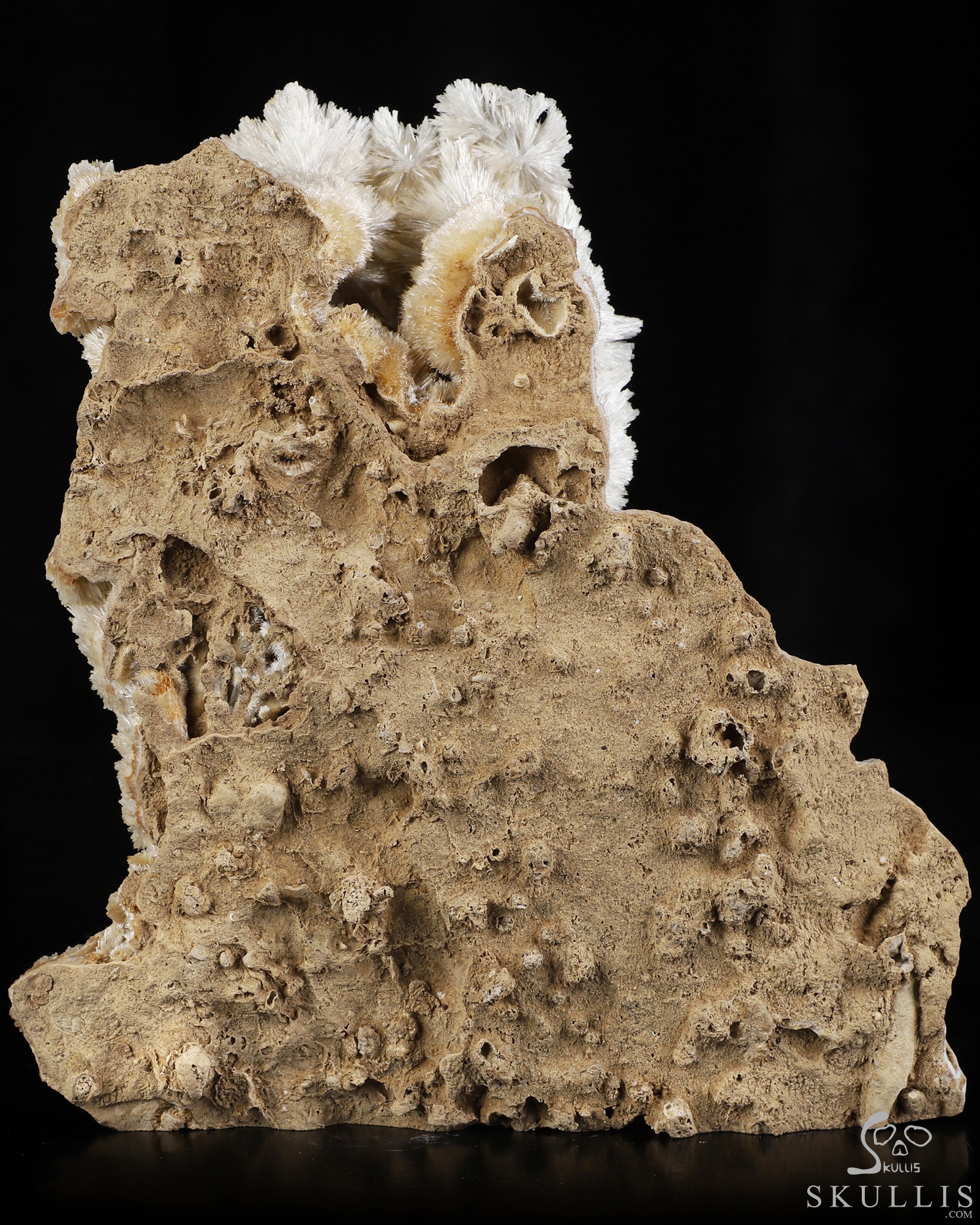 Sept 26, 2026 ACSAD (A Crystal Skull a Day) - Nature Was the Sculptor - 6.3" Hand Carved Scolecite & Mesolite Cluster on Basalt Matrix Specimen Crystal Skull Silhouette Fine Art Sculpture, Crystal Healing Sept 26, 2026 ACSAD (A Crystal Skull a Day) - Nature Was the Sculptor - 6.3" Hand Carved Scolecite & Mesolite Cluster on Basalt Matrix Specimen Crystal Skull Silhouette Fine Art Sculpture, Crystal Healing