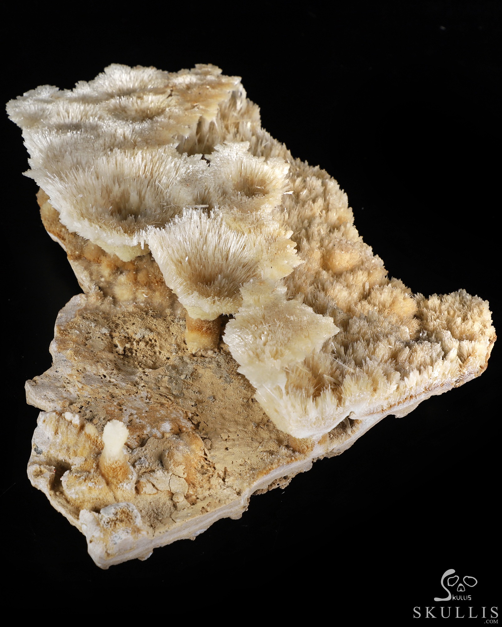 Sept 26, 2026 ACSAD (A Crystal Skull a Day) - Nature Was the Sculptor - 6.3" Hand Carved Scolecite & Mesolite Cluster on Basalt Matrix Specimen Crystal Skull Silhouette Fine Art Sculpture, Crystal Healing Sept 26, 2026 ACSAD (A Crystal Skull a Day) - Nature Was the Sculptor - 6.3" Hand Carved Scolecite & Mesolite Cluster on Basalt Matrix Specimen Crystal Skull Silhouette Fine Art Sculpture, Crystal Healing