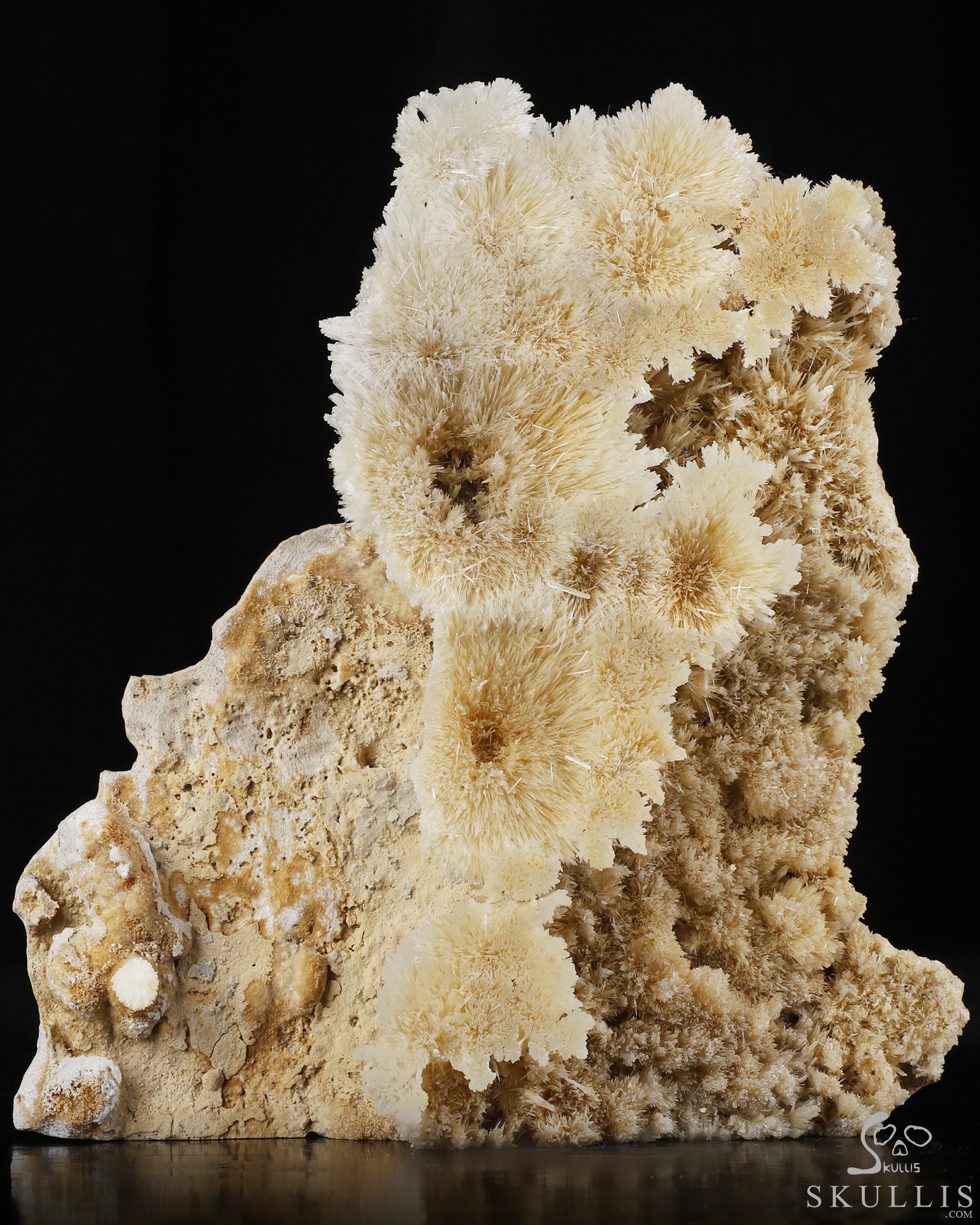 Sept 26, 2026 ACSAD (A Crystal Skull a Day) - Nature Was the Sculptor - 6.3" Hand Carved Scolecite & Mesolite Cluster on Basalt Matrix Specimen Crystal Skull Silhouette Fine Art Sculpture, Crystal Healing Sept 26, 2026 ACSAD (A Crystal Skull a Day) - Nature Was the Sculptor - 6.3" Hand Carved Scolecite & Mesolite Cluster on Basalt Matrix Specimen Crystal Skull Silhouette Fine Art Sculpture, Crystal Healing