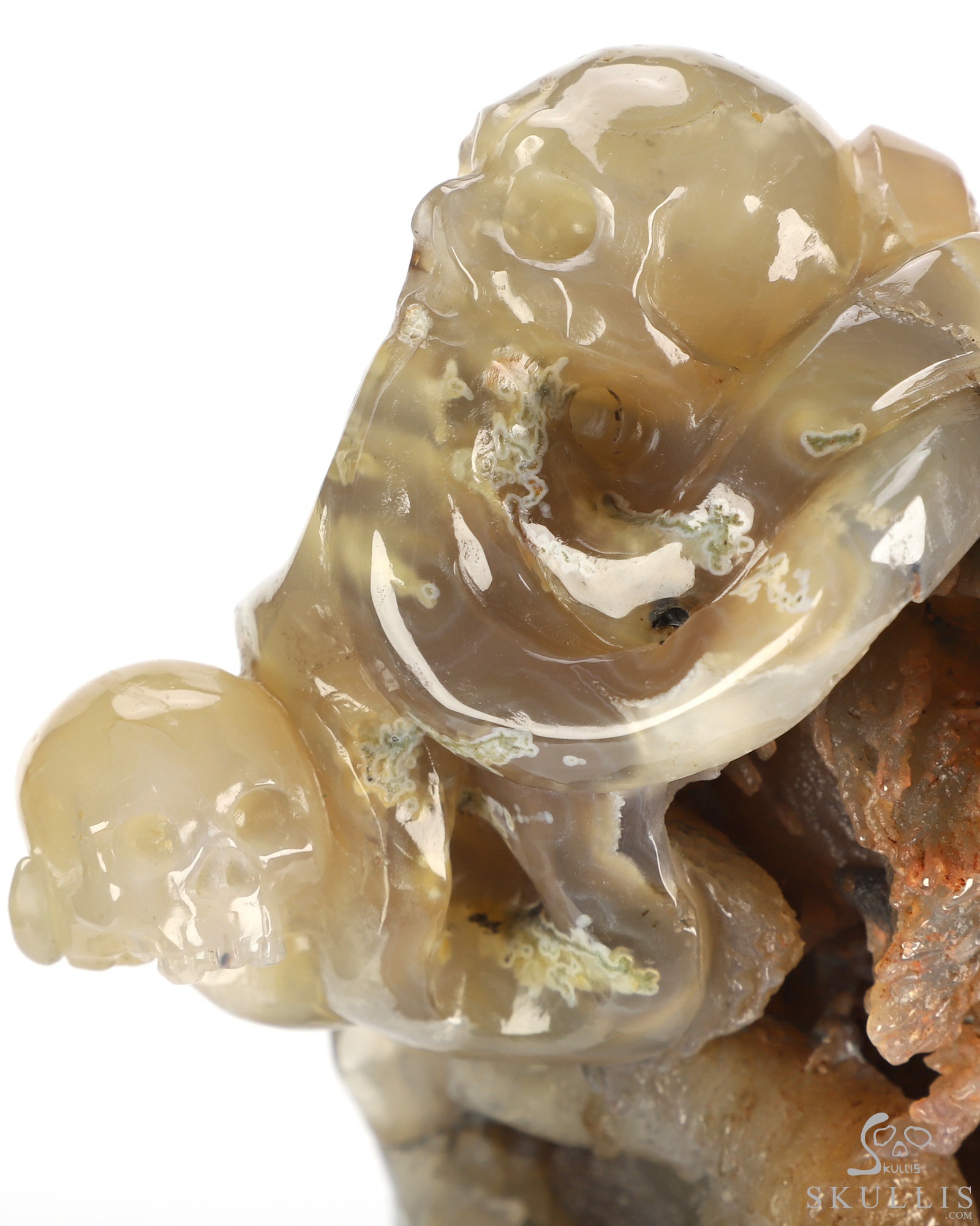 Oct 12, 2026 ACSAD (A Crystal Skull a Day) - No One Leaves Empty-Handed - 6.9" Agate Hand Carved Octopus & Crystal Skull Fine Art Sculpture, Crystal Healing Oct 12, 2026 ACSAD (A Crystal Skull a Day) - No One Leaves Empty-Handed - 6.9" Agate Hand Carved Octopus & Crystal Skull Fine Art Sculpture, Crystal Healing