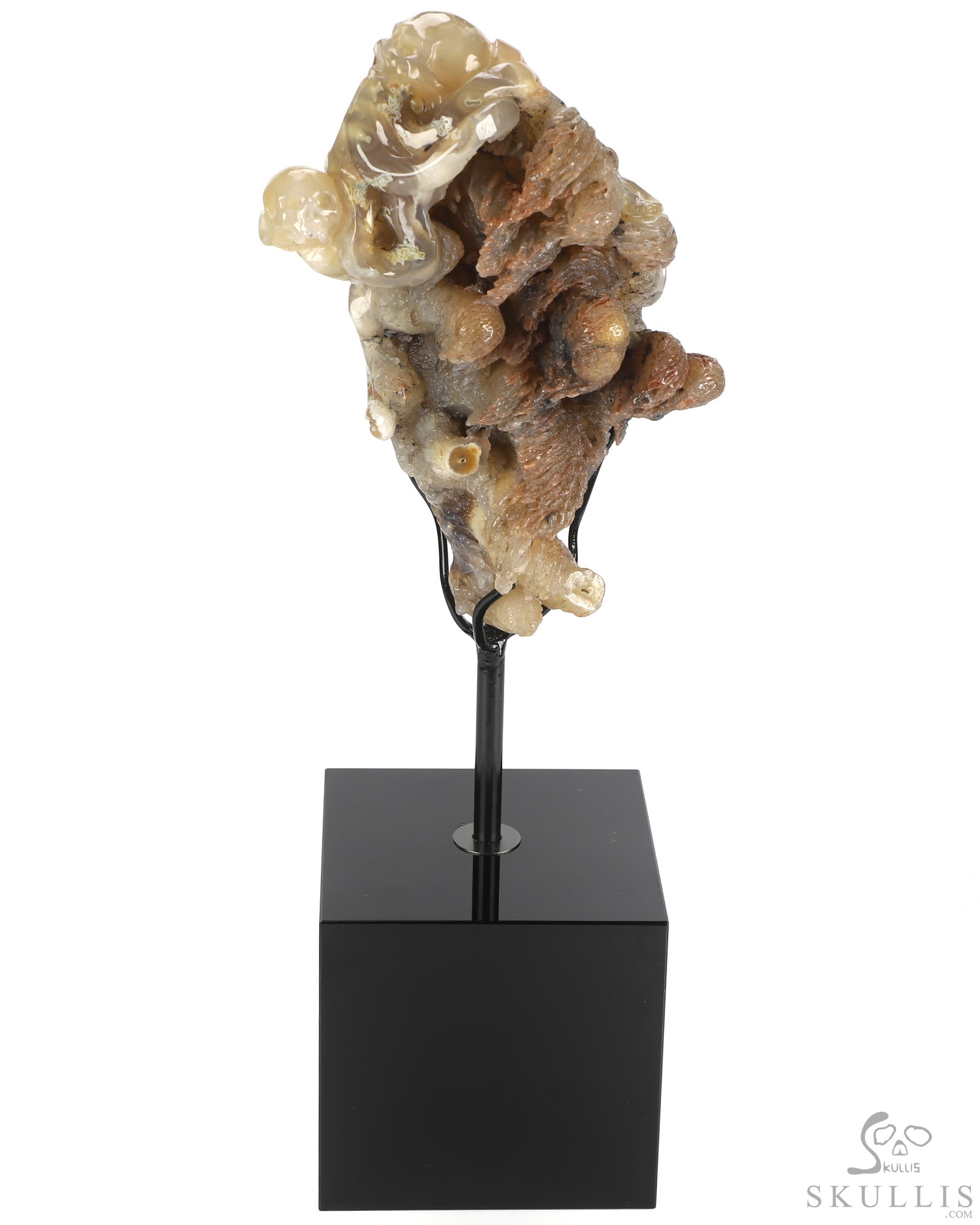 Oct 12, 2026 ACSAD (A Crystal Skull a Day) - No One Leaves Empty-Handed - 6.9" Agate Hand Carved Octopus & Crystal Skull Fine Art Sculpture, Crystal Healing Oct 12, 2026 ACSAD (A Crystal Skull a Day) - No One Leaves Empty-Handed - 6.9" Agate Hand Carved Octopus & Crystal Skull Fine Art Sculpture, Crystal Healing