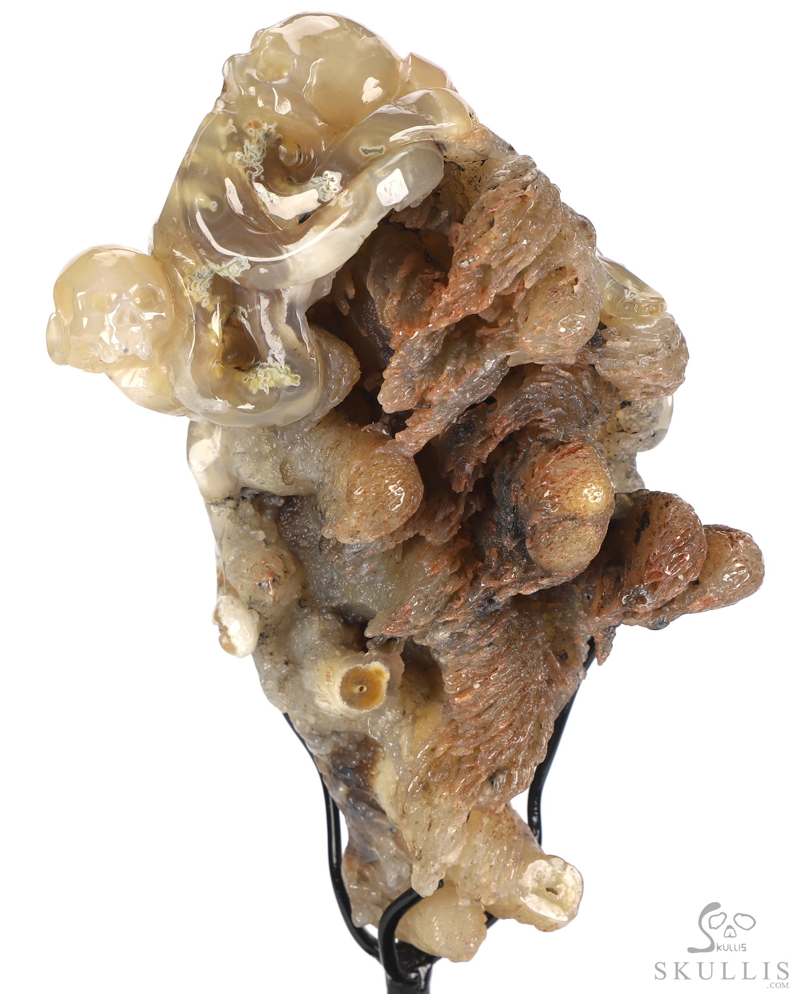 Oct 12, 2026 ACSAD (A Crystal Skull a Day) - No One Leaves Empty-Handed - 6.9" Agate Hand Carved Octopus & Crystal Skull Fine Art Sculpture, Crystal Healing Oct 12, 2026 ACSAD (A Crystal Skull a Day) - No One Leaves Empty-Handed - 6.9" Agate Hand Carved Octopus & Crystal Skull Fine Art Sculpture, Crystal Healing