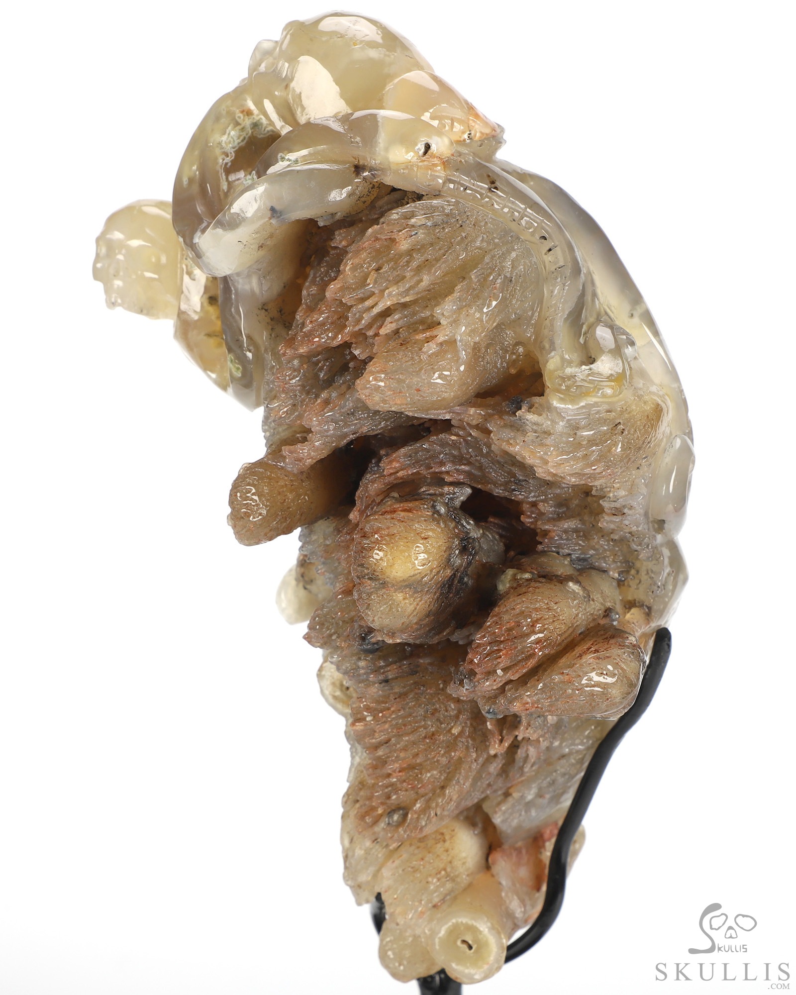 Oct 12, 2026 ACSAD (A Crystal Skull a Day) - No One Leaves Empty-Handed - 6.9" Agate Hand Carved Octopus & Crystal Skull Fine Art Sculpture, Crystal Healing Oct 12, 2026 ACSAD (A Crystal Skull a Day) - No One Leaves Empty-Handed - 6.9" Agate Hand Carved Octopus & Crystal Skull Fine Art Sculpture, Crystal Healing