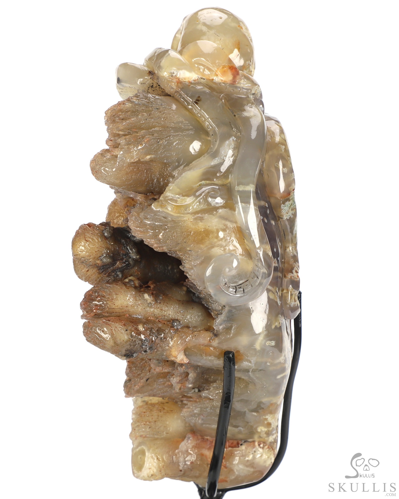 Oct 12, 2026 ACSAD (A Crystal Skull a Day) - No One Leaves Empty-Handed - 6.9" Agate Hand Carved Octopus & Crystal Skull Fine Art Sculpture, Crystal Healing Oct 12, 2026 ACSAD (A Crystal Skull a Day) - No One Leaves Empty-Handed - 6.9" Agate Hand Carved Octopus & Crystal Skull Fine Art Sculpture, Crystal Healing