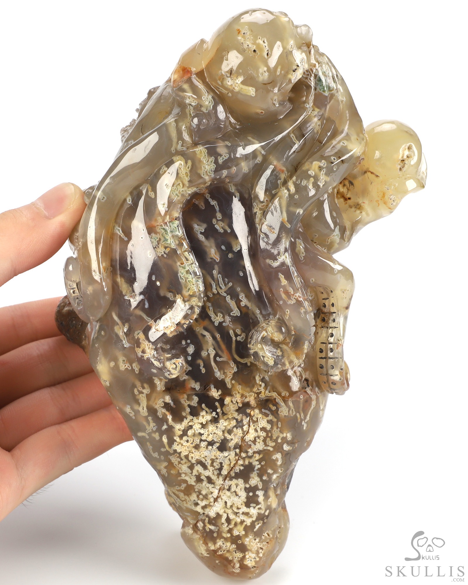 Oct 12, 2026 ACSAD (A Crystal Skull a Day) - No One Leaves Empty-Handed - 6.9" Agate Hand Carved Octopus & Crystal Skull Fine Art Sculpture, Crystal Healing Oct 12, 2026 ACSAD (A Crystal Skull a Day) - No One Leaves Empty-Handed - 6.9" Agate Hand Carved Octopus & Crystal Skull Fine Art Sculpture, Crystal Healing