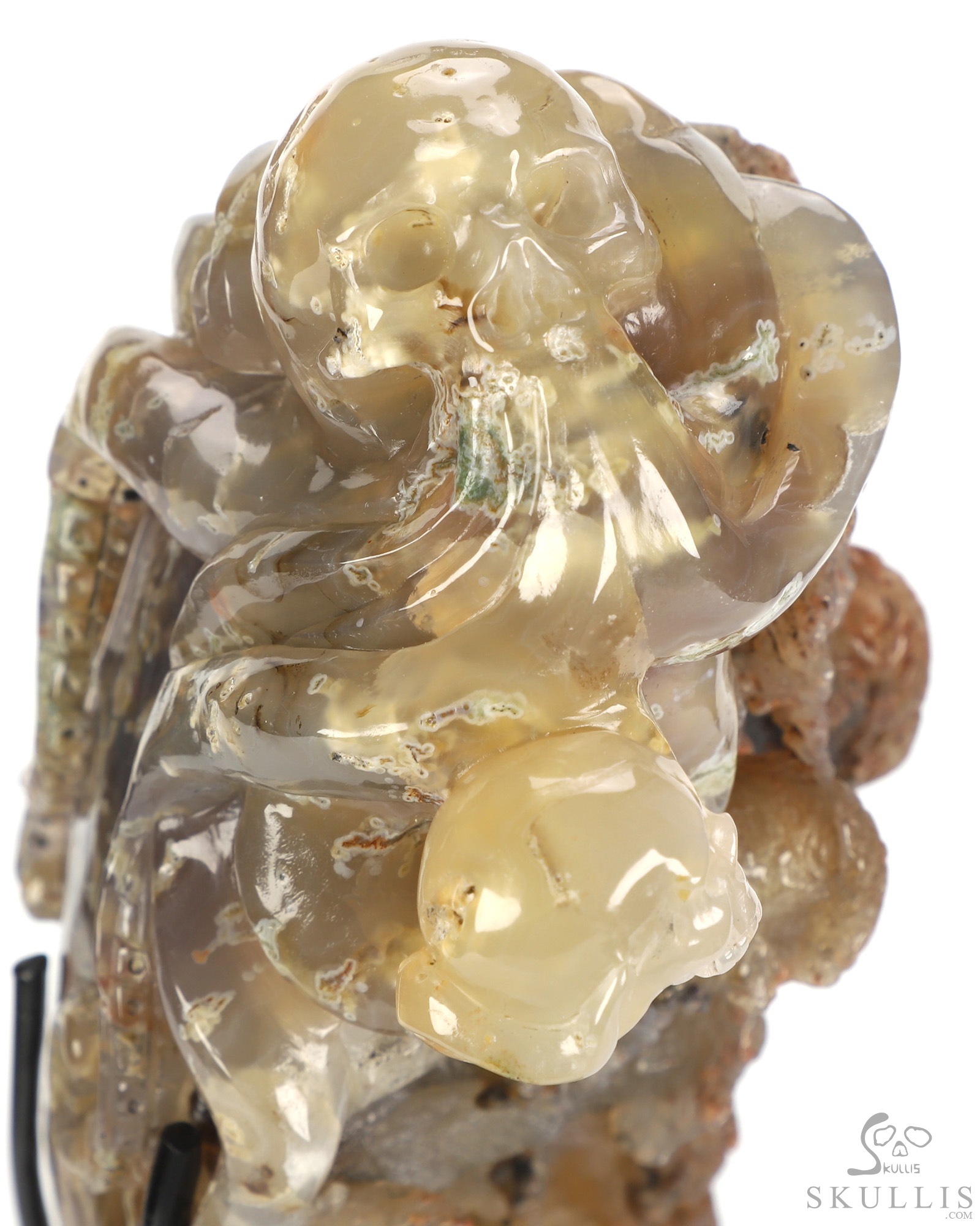 Oct 12, 2026 ACSAD (A Crystal Skull a Day) - No One Leaves Empty-Handed - 6.9" Agate Hand Carved Octopus & Crystal Skull Fine Art Sculpture, Crystal Healing Oct 12, 2026 ACSAD (A Crystal Skull a Day) - No One Leaves Empty-Handed - 6.9" Agate Hand Carved Octopus & Crystal Skull Fine Art Sculpture, Crystal Healing