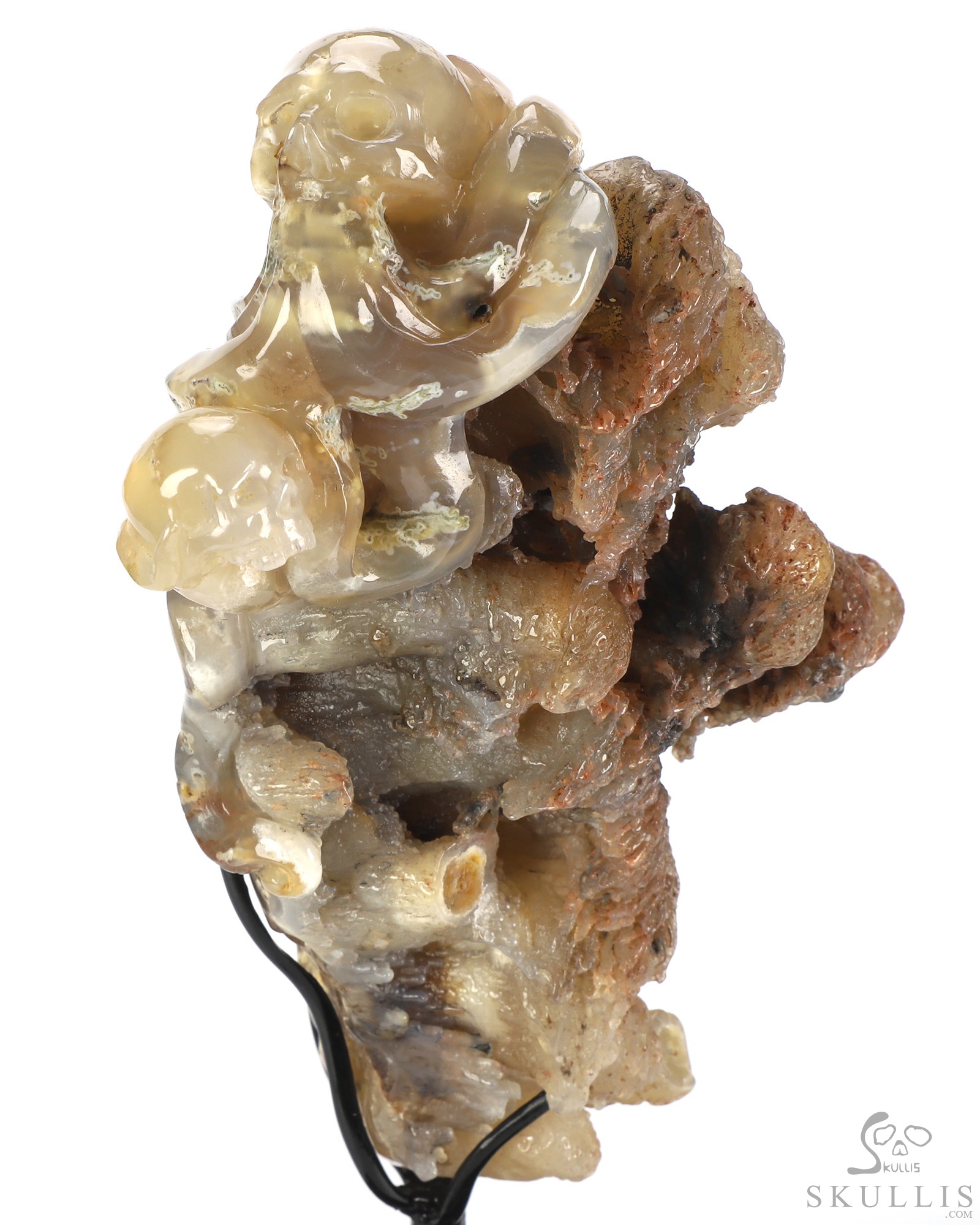 Oct 12, 2026 ACSAD (A Crystal Skull a Day) - No One Leaves Empty-Handed - 6.9" Agate Hand Carved Octopus & Crystal Skull Fine Art Sculpture, Crystal Healing Oct 12, 2026 ACSAD (A Crystal Skull a Day) - No One Leaves Empty-Handed - 6.9" Agate Hand Carved Octopus & Crystal Skull Fine Art Sculpture, Crystal Healing