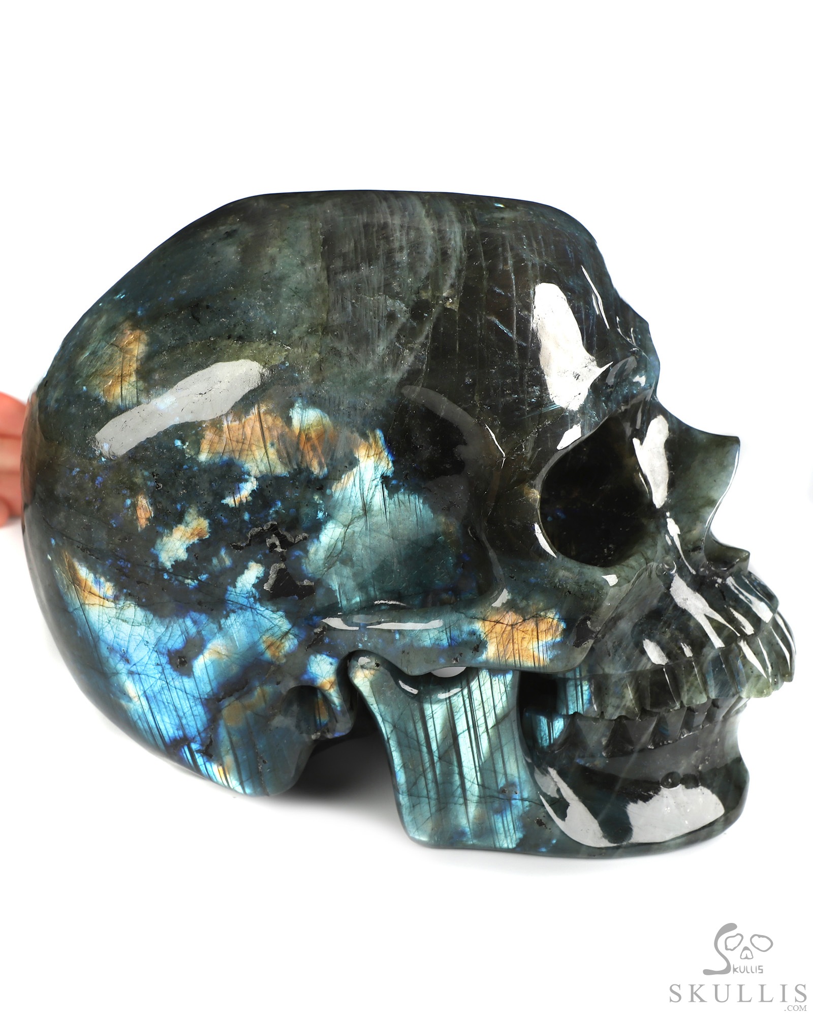 Oct 11, 2026 ACSAD (A Crystal Skull a Day) - Mute Button Initiated - 7.6" Labradorite Hand Carved Detachable Crystal Skull Sculpture, Crystal Healing Oct 11, 2026 ACSAD (A Crystal Skull a Day) - Mute Button Initiated - 7.6" Labradorite Hand Carved Detachable Crystal Skull Sculpture, Crystal Healing