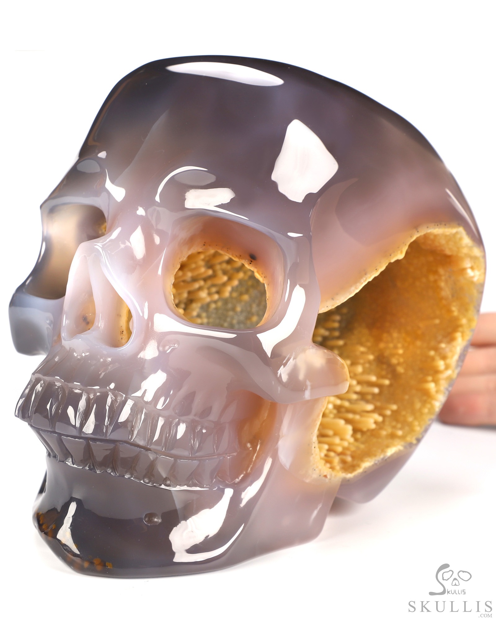 Sept 14, 2026 ACSAD (A Crystal Skull a Day) - What Grows Within - Lifesized 7.3" Rare Stalactitic Agate Geode Hand Carved Crystal Skull, Super Realistic, Crystal Healing Sept 14, 2026 ACSAD (A Crystal Skull a Day) - What Grows Within - Lifesized 7.3" Rare Stalactitic Agate Geode Hand Carved Crystal Skull, Super Realistic, Crystal Healing