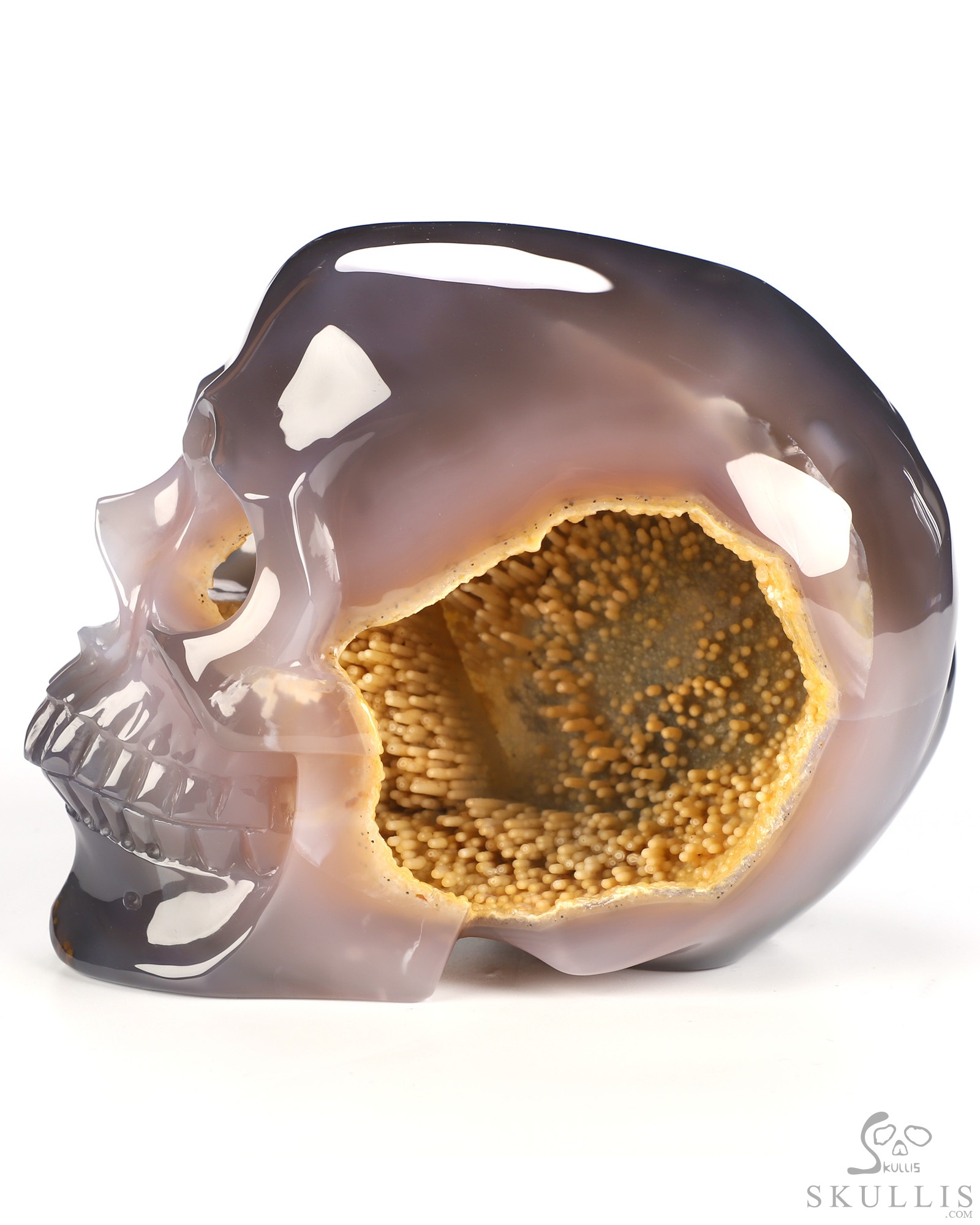 Sept 14, 2026 ACSAD (A Crystal Skull a Day) - What Grows Within - Lifesized 7.3" Rare Stalactitic Agate Geode Hand Carved Crystal Skull, Super Realistic, Crystal Healing Sept 14, 2026 ACSAD (A Crystal Skull a Day) - What Grows Within - Lifesized 7.3" Rare Stalactitic Agate Geode Hand Carved Crystal Skull, Super Realistic, Crystal Healing
