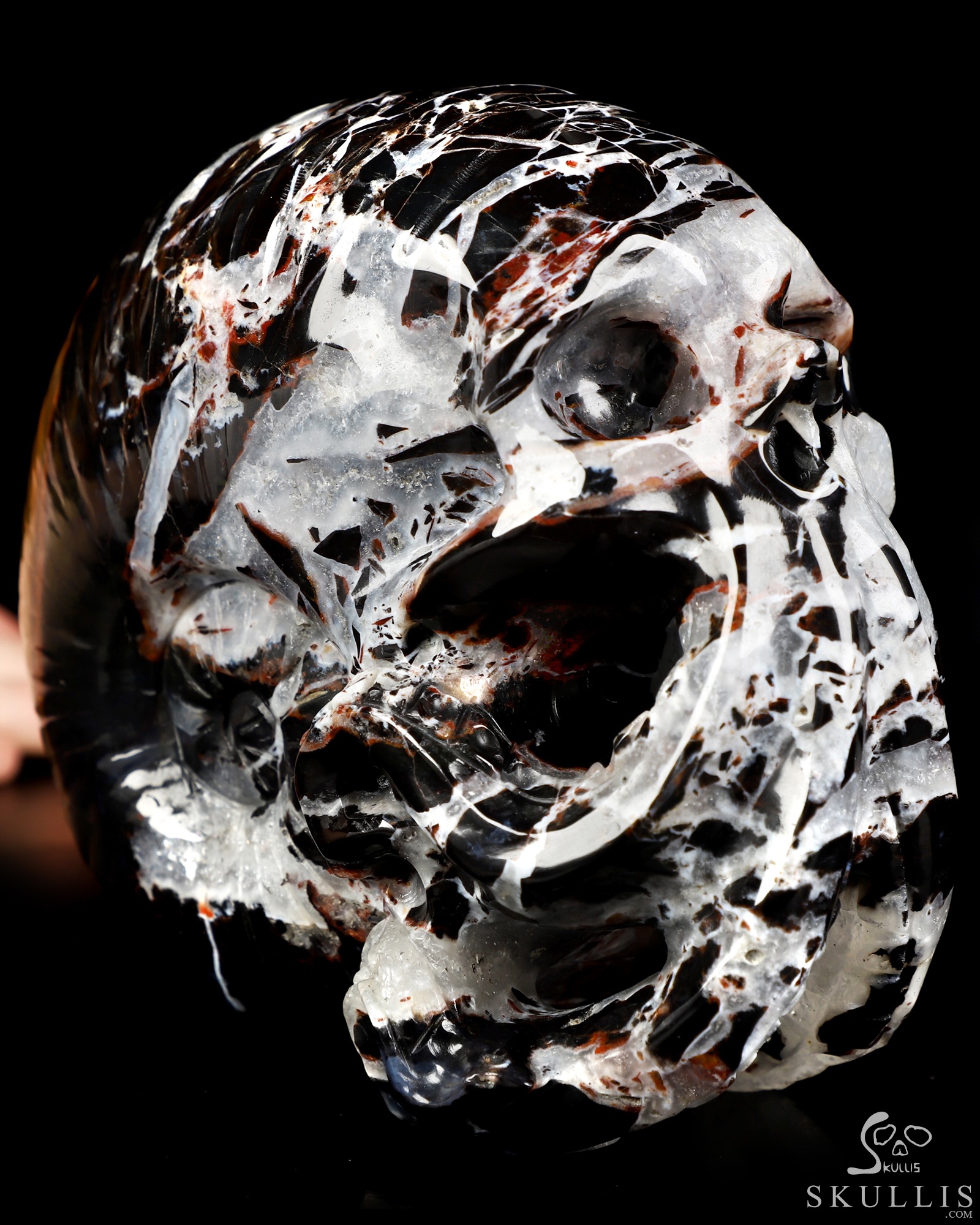 5.6" Black Zebra Agate Hand Carved Nautiloid Cthulhu Crystal Skull Sculpture, Crystal Healing 5.6" Black Zebra Agate Hand Carved Nautiloid Cthulhu Crystal Skull Sculpture, Crystal Healing