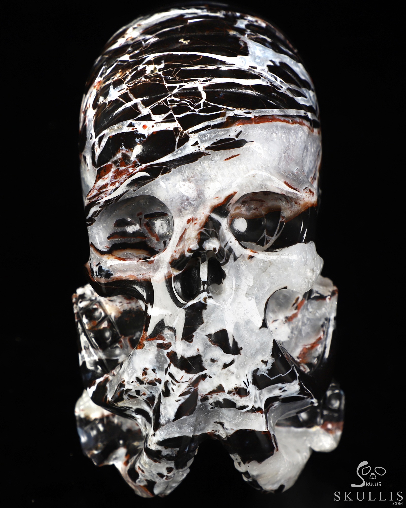 5.6" Black Zebra Agate Hand Carved Nautiloid Cthulhu Crystal Skull Sculpture, Crystal Healing 5.6" Black Zebra Agate Hand Carved Nautiloid Cthulhu Crystal Skull Sculpture, Crystal Healing