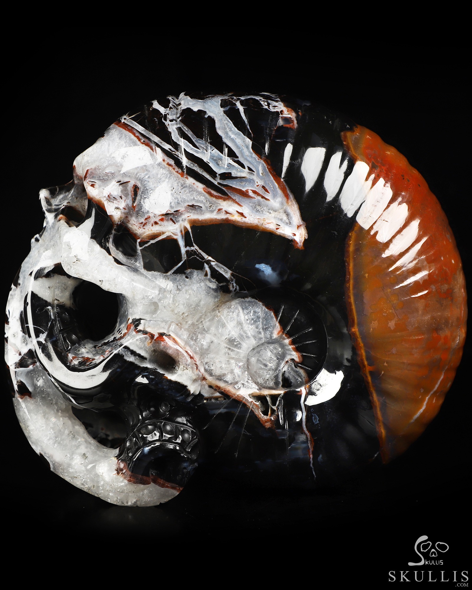 5.6" Black Zebra Agate Hand Carved Nautiloid Cthulhu Crystal Skull Sculpture, Crystal Healing 5.6" Black Zebra Agate Hand Carved Nautiloid Cthulhu Crystal Skull Sculpture, Crystal Healing