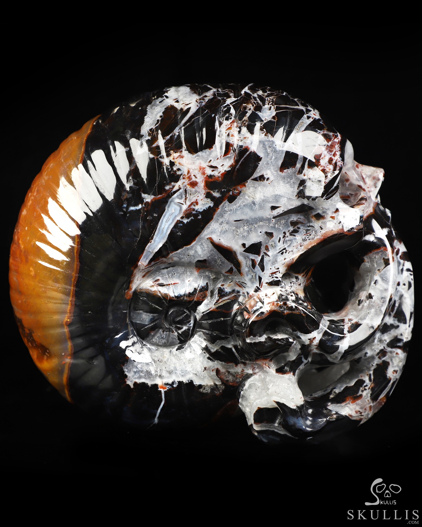 5.6" Black Zebra Agate Hand Carved Nautiloid Cthulhu Crystal Skull Sculpture, Crystal Healing 5.6" Black Zebra Agate Hand Carved Nautiloid Cthulhu Crystal Skull Sculpture, Crystal Healing