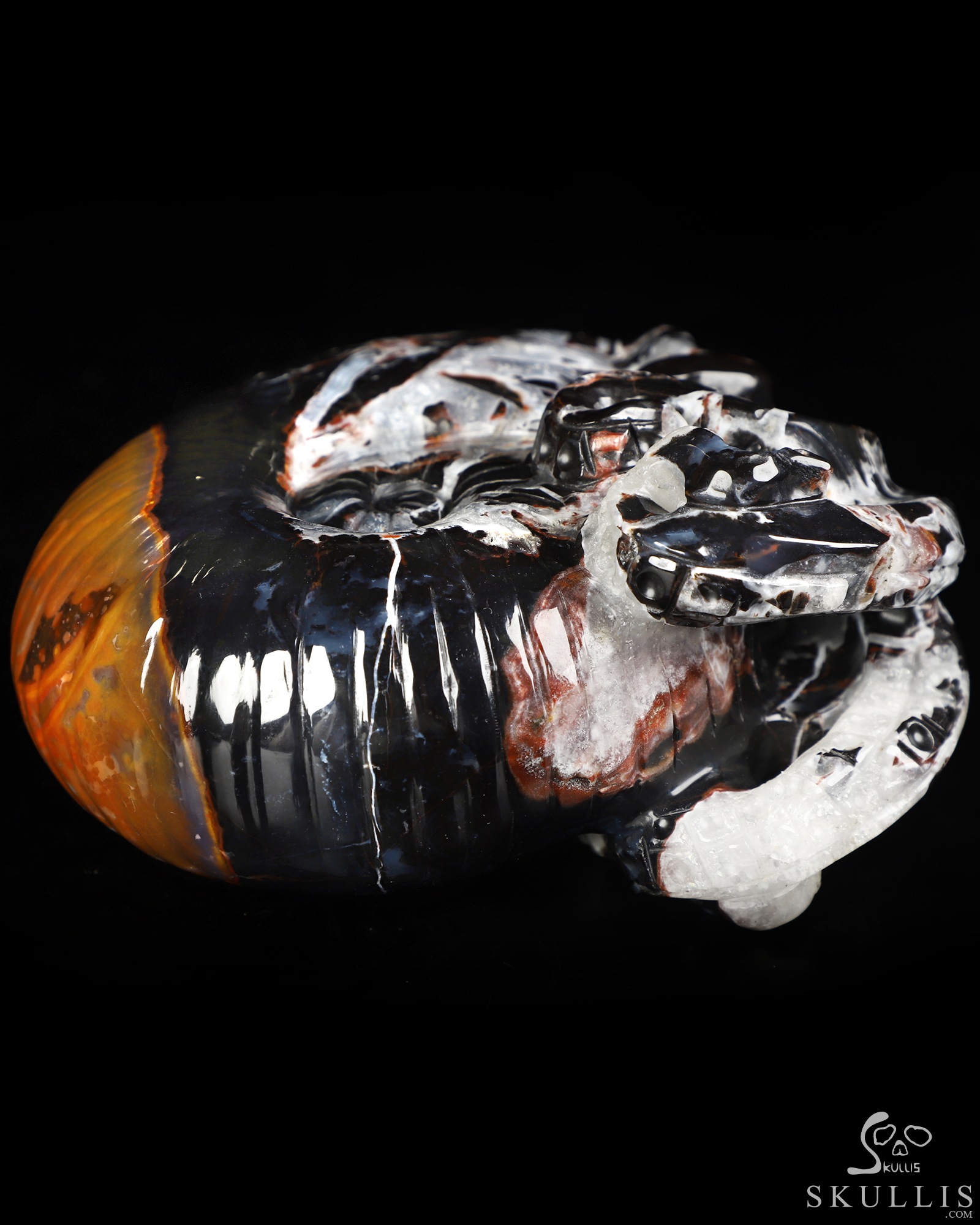 5.6" Black Zebra Agate Hand Carved Nautiloid Cthulhu Crystal Skull Sculpture, Crystal Healing 5.6" Black Zebra Agate Hand Carved Nautiloid Cthulhu Crystal Skull Sculpture, Crystal Healing