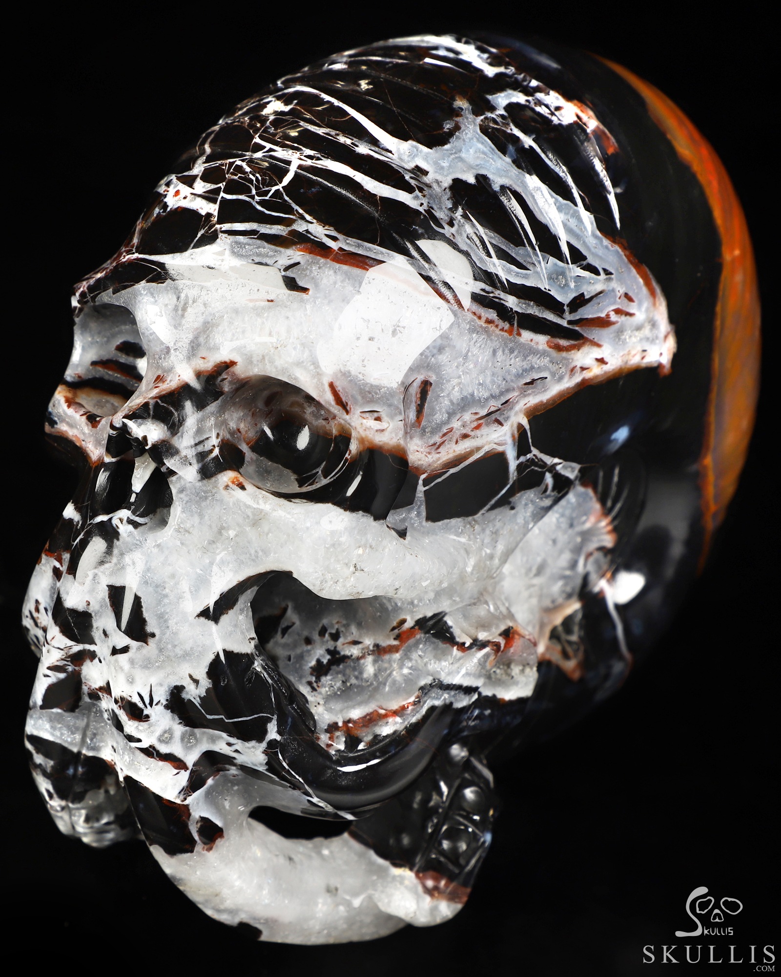 5.6" Black Zebra Agate Hand Carved Nautiloid Cthulhu Crystal Skull Sculpture, Crystal Healing 5.6" Black Zebra Agate Hand Carved Nautiloid Cthulhu Crystal Skull Sculpture, Crystal Healing