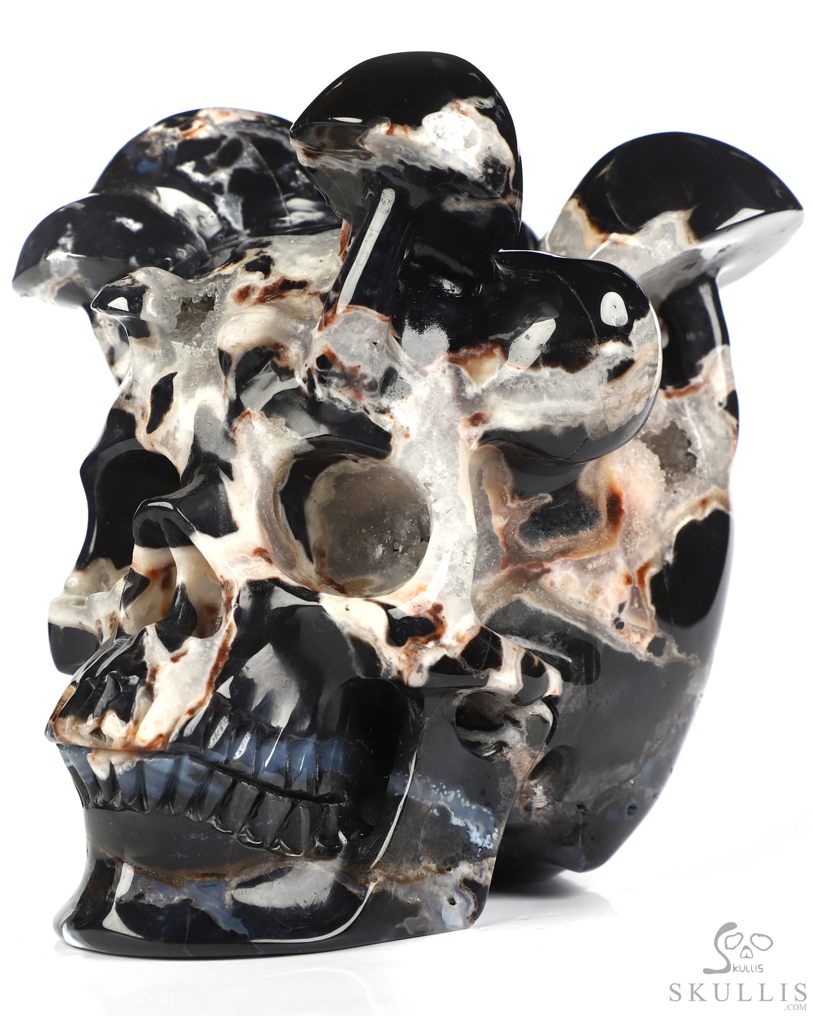 5.2" Black Zebra Agate Hand Carved Mushroom Crystal Skull Sculpture, Crystal Healing 5.2" Black Zebra Agate Hand Carved Mushroom Crystal Skull Sculpture, Crystal Healing