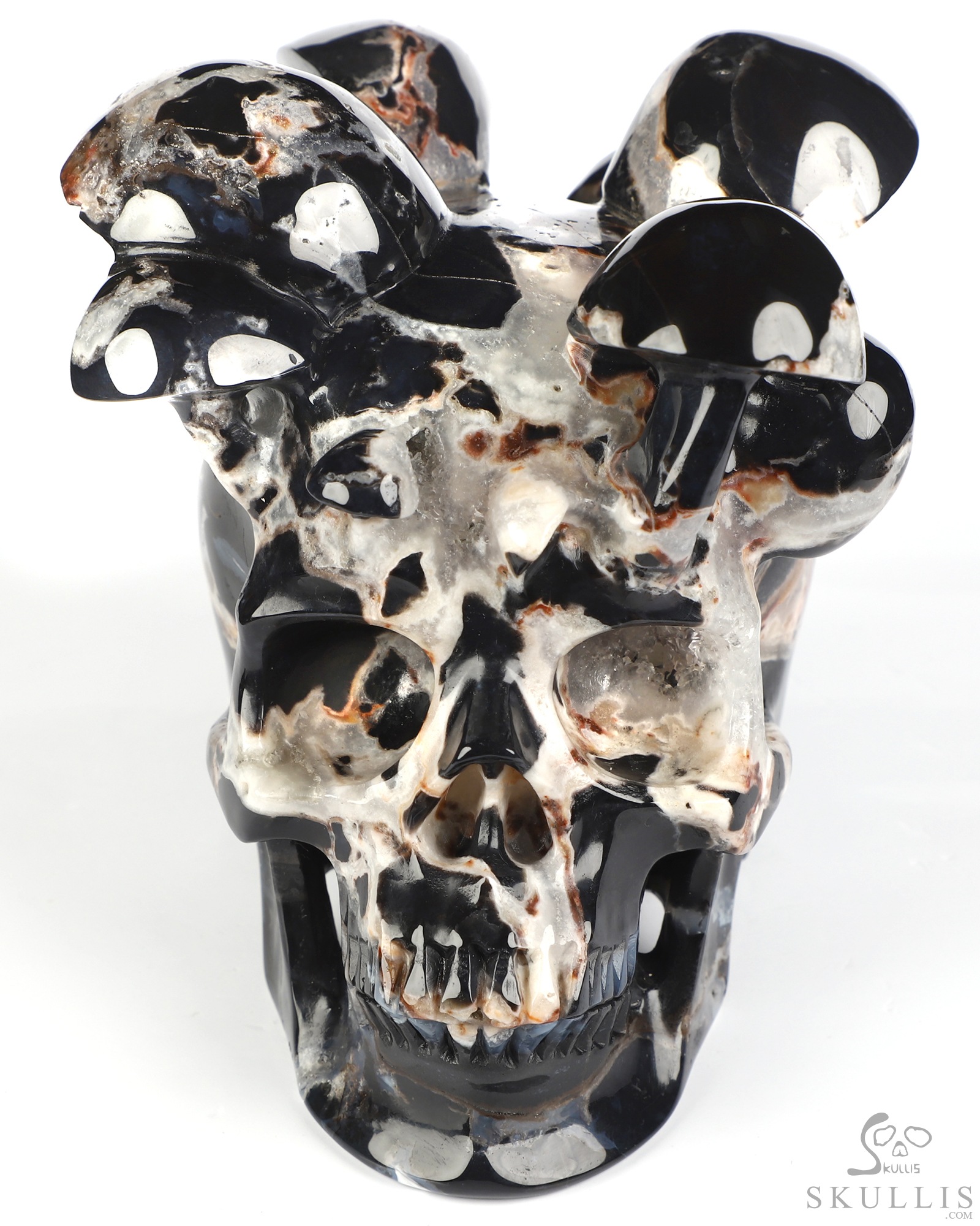 5.2" Black Zebra Agate Hand Carved Mushroom Crystal Skull Sculpture, Crystal Healing 5.2" Black Zebra Agate Hand Carved Mushroom Crystal Skull Sculpture, Crystal Healing