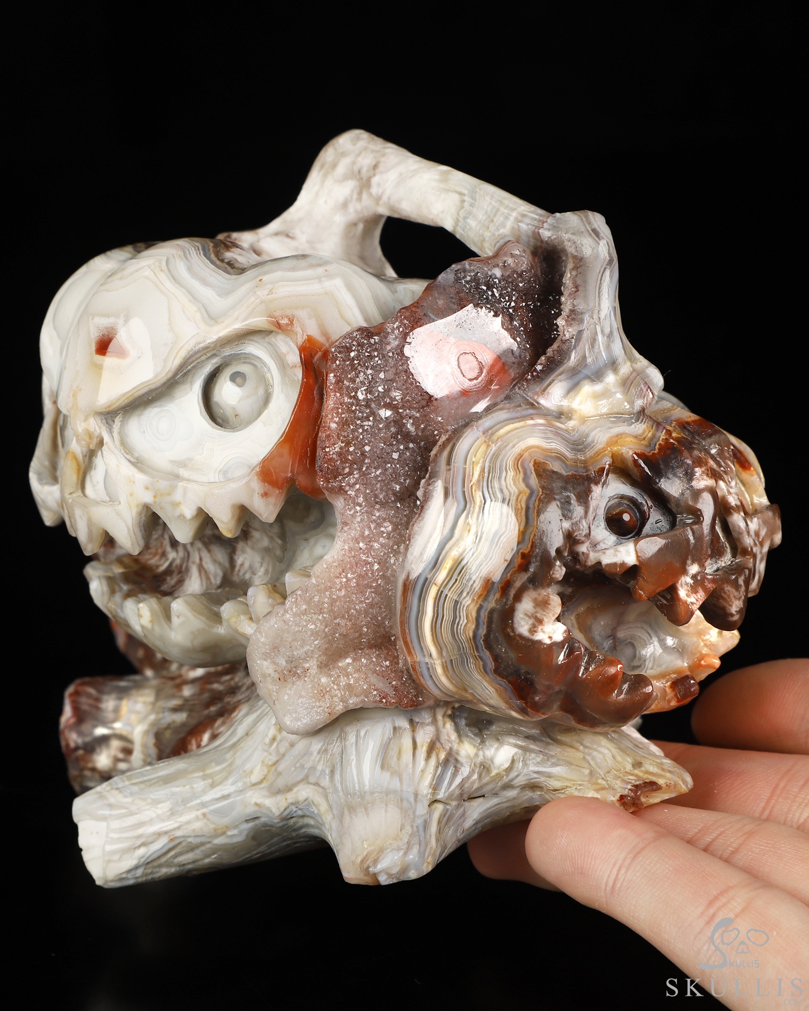 Gemstone 5.5" Red Crazy Lace Agate Hand Carved Jack-O'-Lantern Pumpkin Crystal Skull Sculpture, Crystal Healing Gemstone 5.5" Red Crazy Lace Agate Hand Carved Jack-O'-Lantern Pumpkin Crystal Skull Sculpture, Crystal Healing