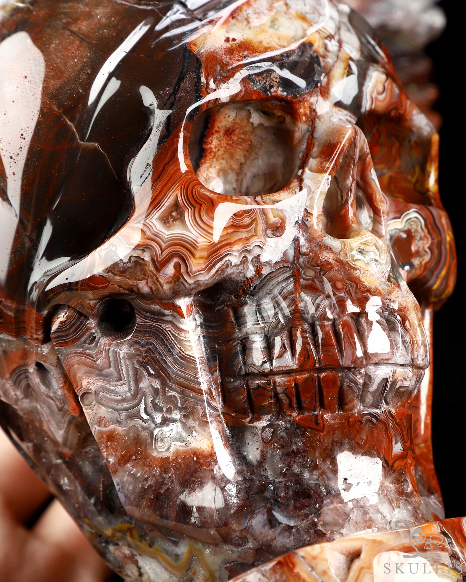 Oct 15, 2026 ACSAD (A Crystal Skull a Day) - The Heart Takes Flight - Gemstone 8.3" Hand Carved Red Crazy Lace Agate Winged Anatomical Heart Crystal Skull Fine Art Sculpture, Crystal Healing Oct 15, 2026 ACSAD (A Crystal Skull a Day) - The Heart Takes Flight - Gemstone 8.3" Hand Carved Red Crazy Lace Agate Winged Anatomical Heart Crystal Skull Fine Art Sculpture, Crystal Healing
