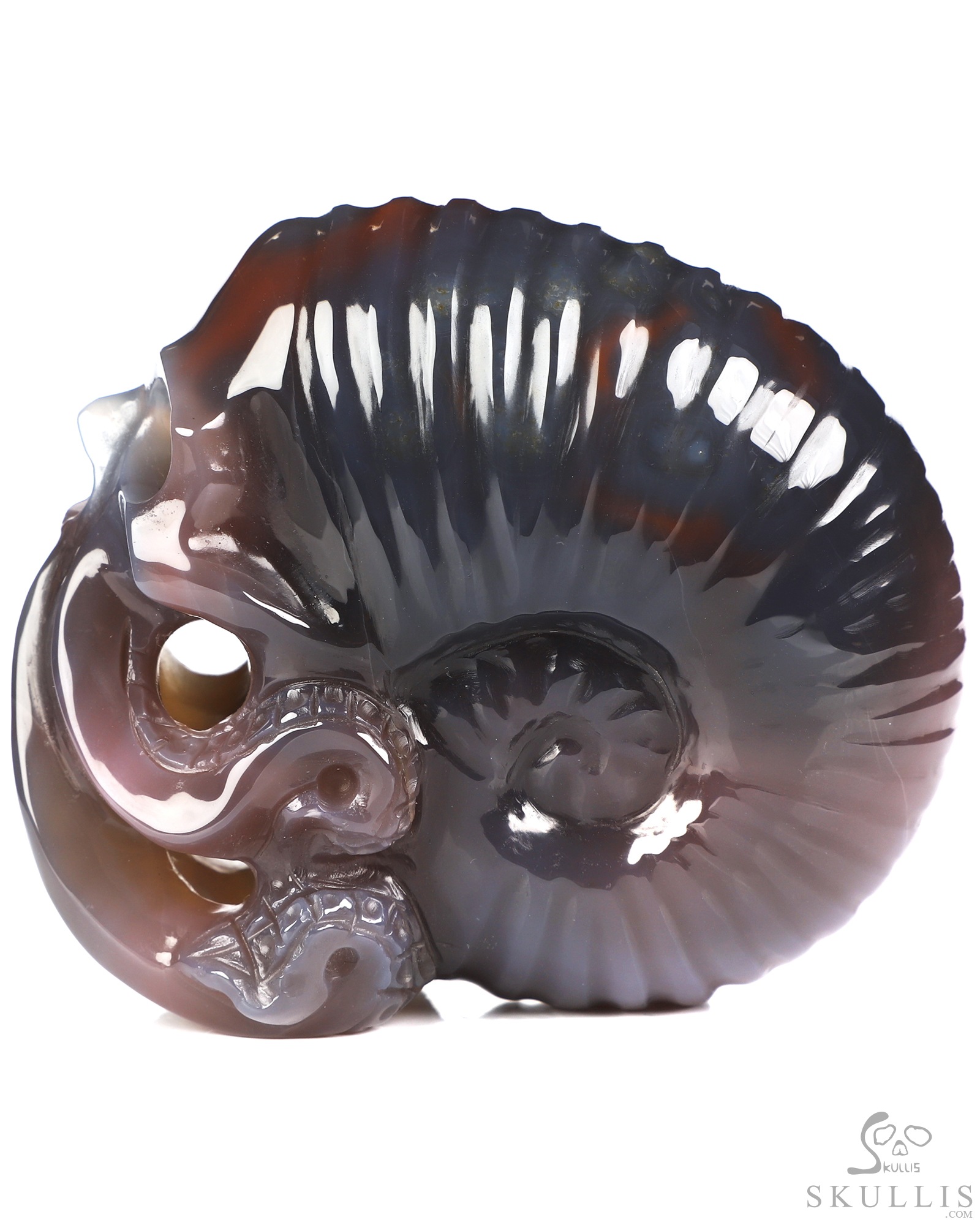3.5" Mozambique Agate Hand Carved Nautiloid Cthulhu Crystal Skull Sculpture, Crystal Healing 3.5" Mozambique Agate Hand Carved Nautiloid Cthulhu Crystal Skull Sculpture, Crystal Healing