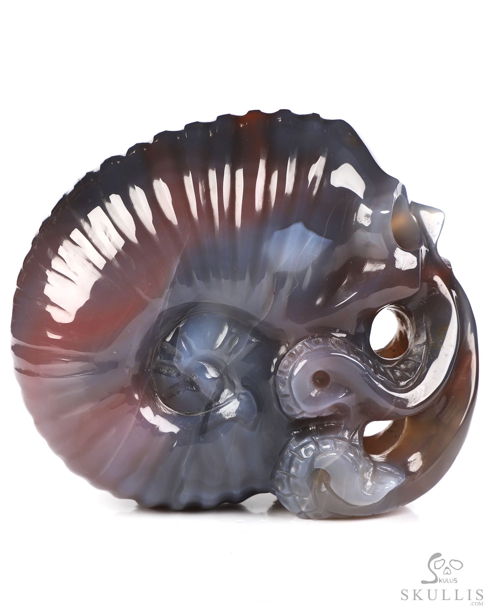 3.5" Mozambique Agate Hand Carved Nautiloid Cthulhu Crystal Skull Sculpture, Crystal Healing 3.5" Mozambique Agate Hand Carved Nautiloid Cthulhu Crystal Skull Sculpture, Crystal Healing