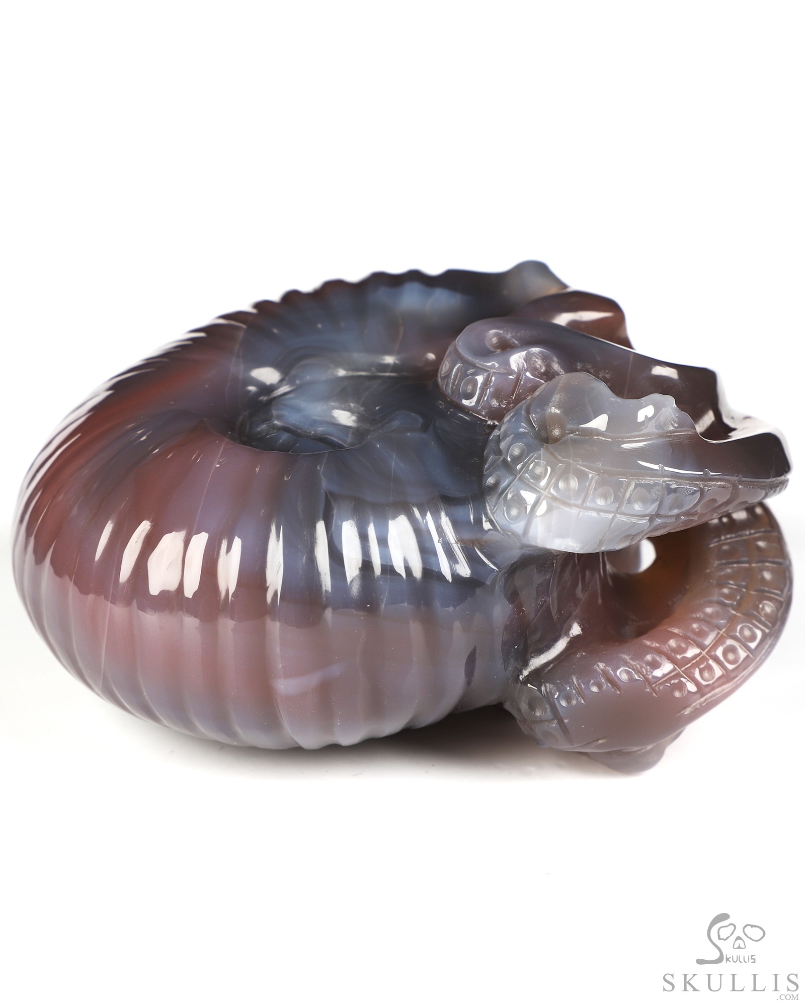 3.5" Mozambique Agate Hand Carved Nautiloid Cthulhu Crystal Skull Sculpture, Crystal Healing 3.5" Mozambique Agate Hand Carved Nautiloid Cthulhu Crystal Skull Sculpture, Crystal Healing