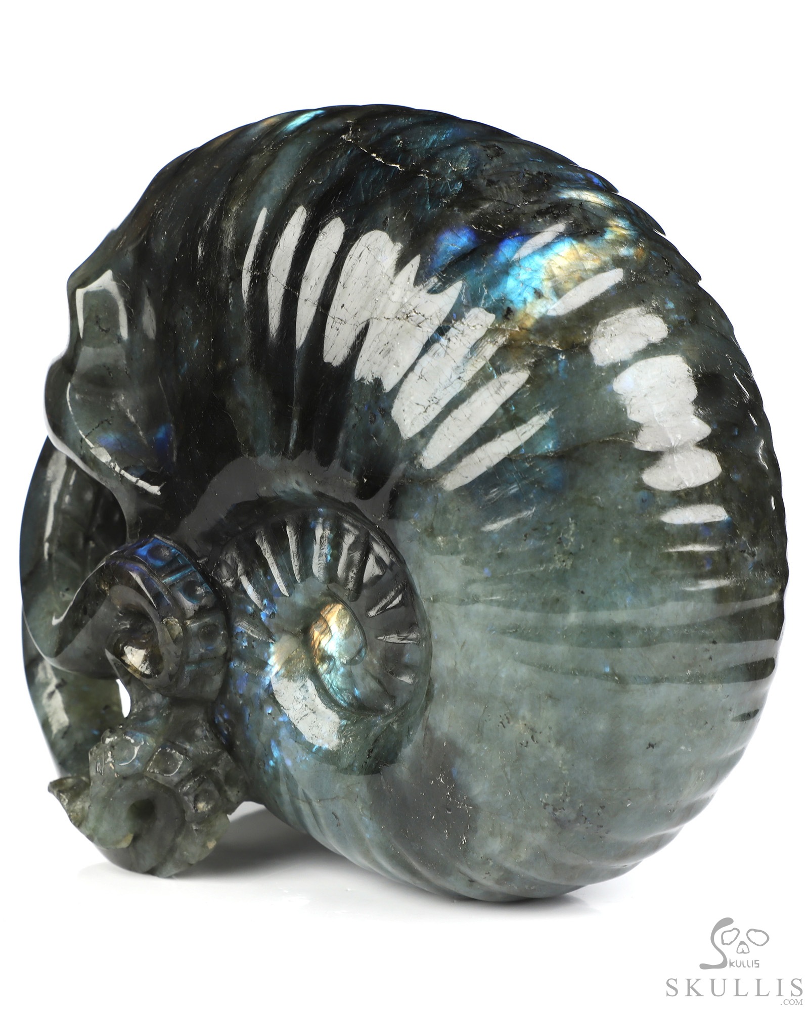 5.6" Labradorite Hand Carved Nautiloid Cthulhu Crystal Skull Sculpture, Crystal Healing 5.6" Labradorite Hand Carved Nautiloid Cthulhu Crystal Skull Sculpture, Crystal Healing