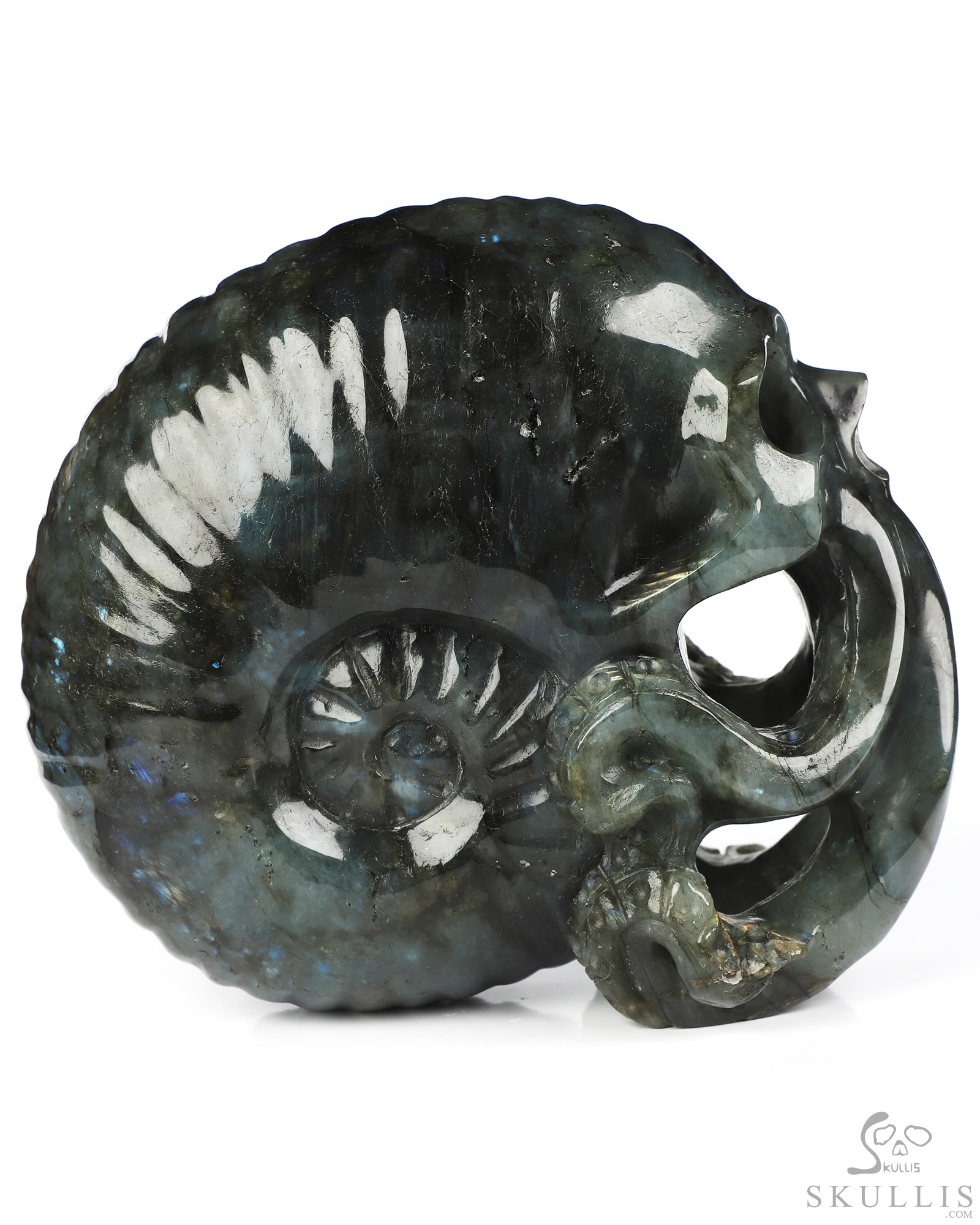 5.6" Labradorite Hand Carved Nautiloid Cthulhu Crystal Skull Sculpture, Crystal Healing 5.6" Labradorite Hand Carved Nautiloid Cthulhu Crystal Skull Sculpture, Crystal Healing