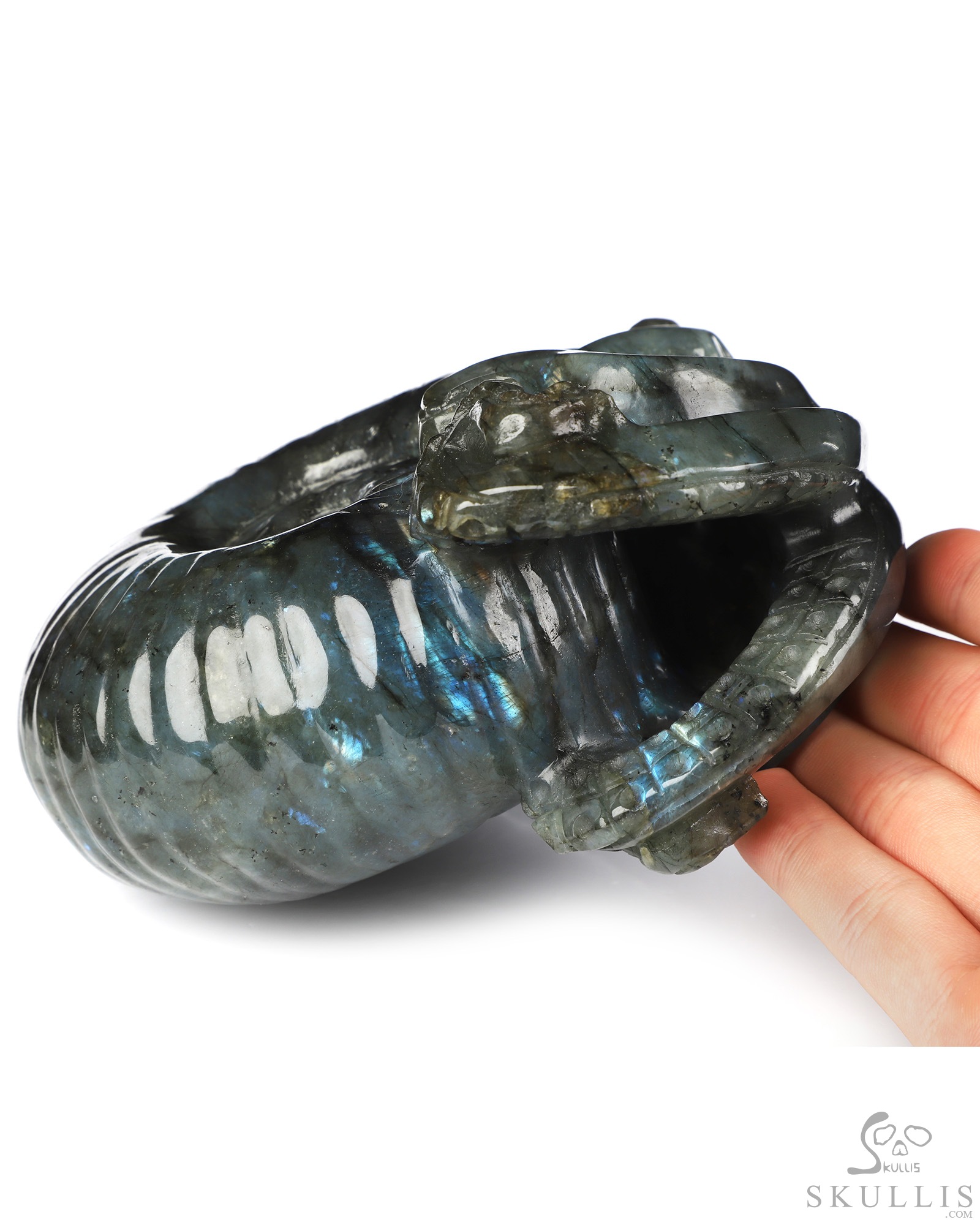 5.6" Labradorite Hand Carved Nautiloid Cthulhu Crystal Skull Sculpture, Crystal Healing 5.6" Labradorite Hand Carved Nautiloid Cthulhu Crystal Skull Sculpture, Crystal Healing