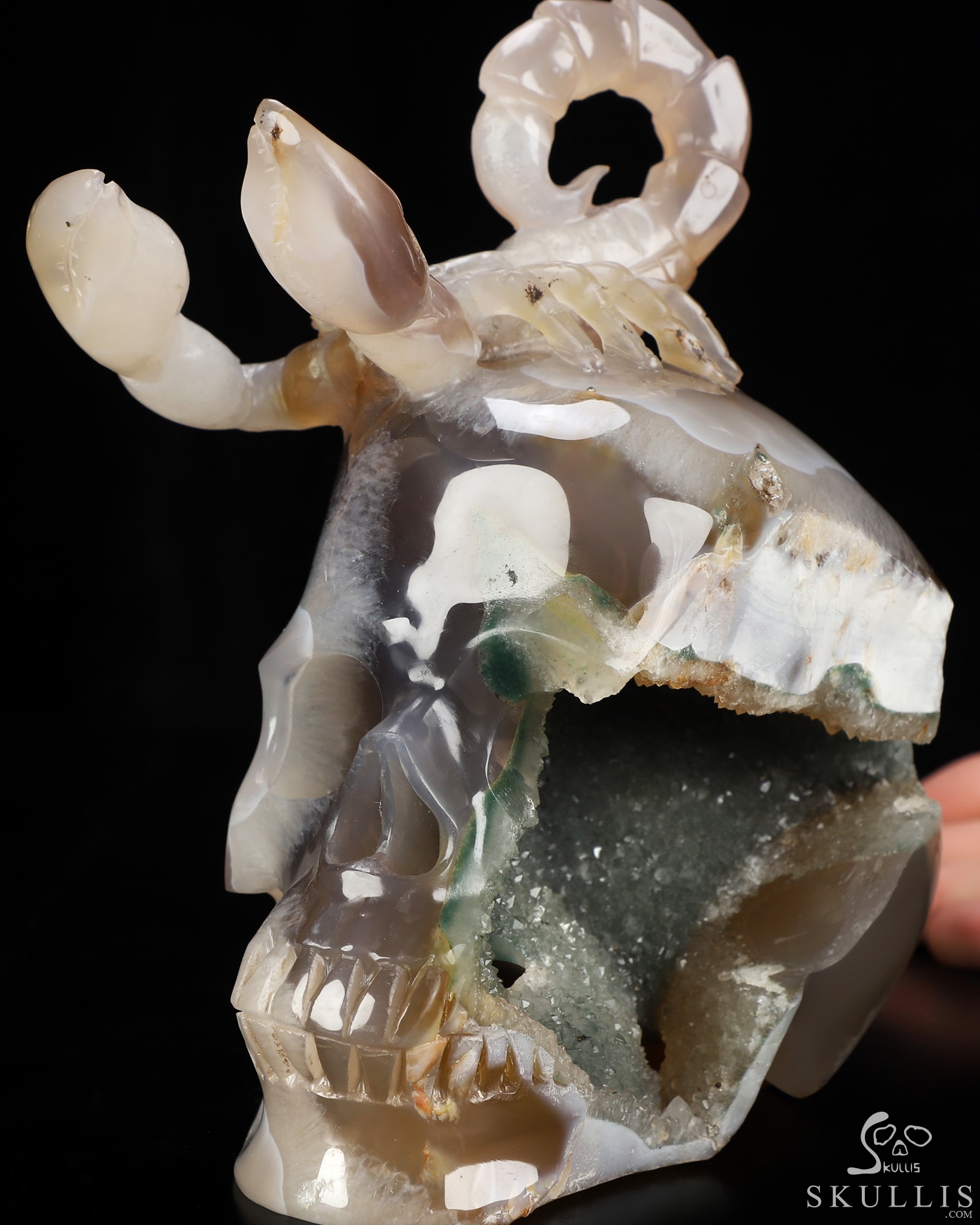 6.5" Agate Geode Hand Carved Crystal Skull and Scorpion Fine Art Sculpture, Crystal Healing 6.5" Agate Geode Hand Carved Crystal Skull and Scorpion Fine Art Sculpture, Crystal Healing