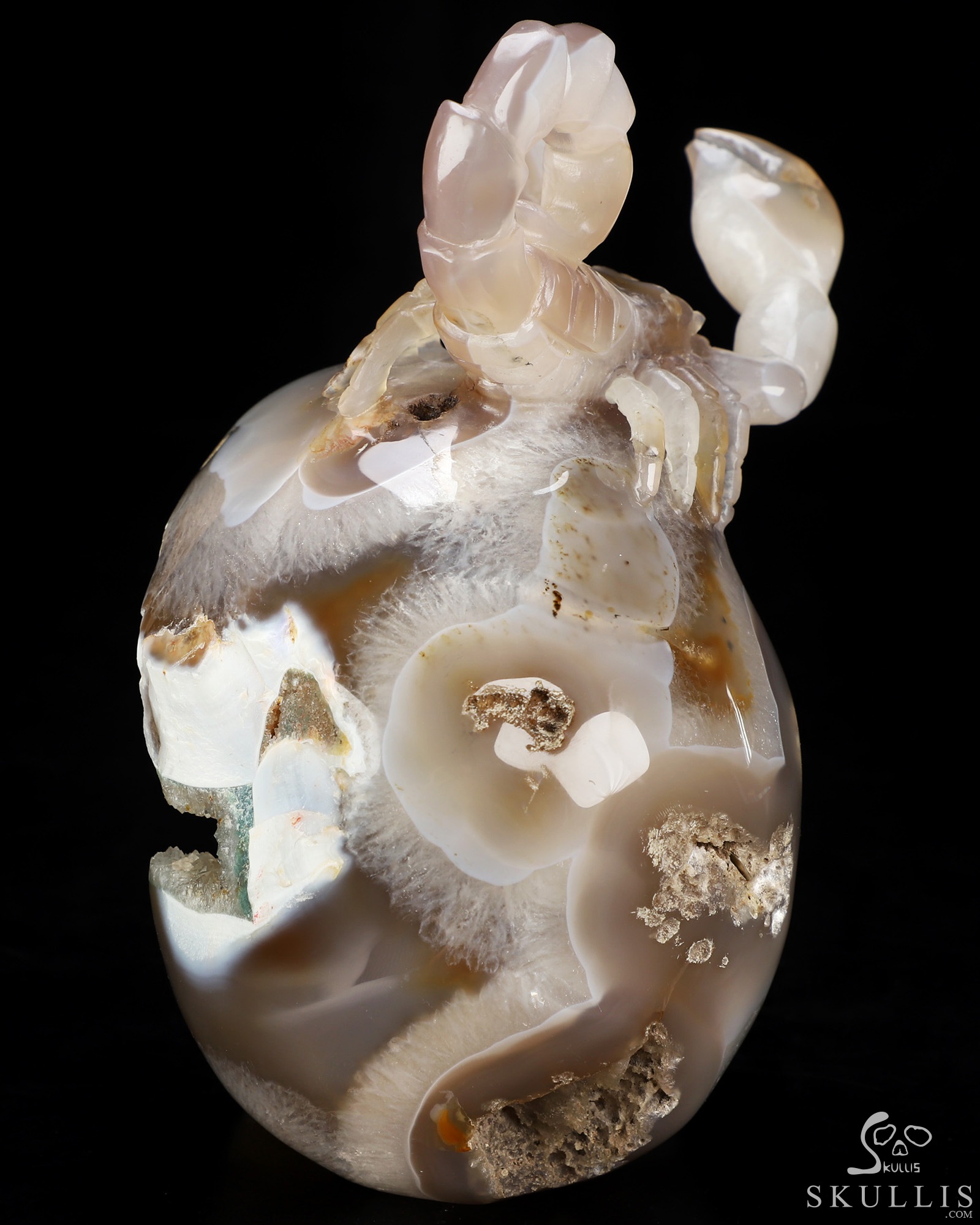 6.5" Agate Geode Hand Carved Crystal Skull and Scorpion Fine Art Sculpture, Crystal Healing 6.5" Agate Geode Hand Carved Crystal Skull and Scorpion Fine Art Sculpture, Crystal Healing