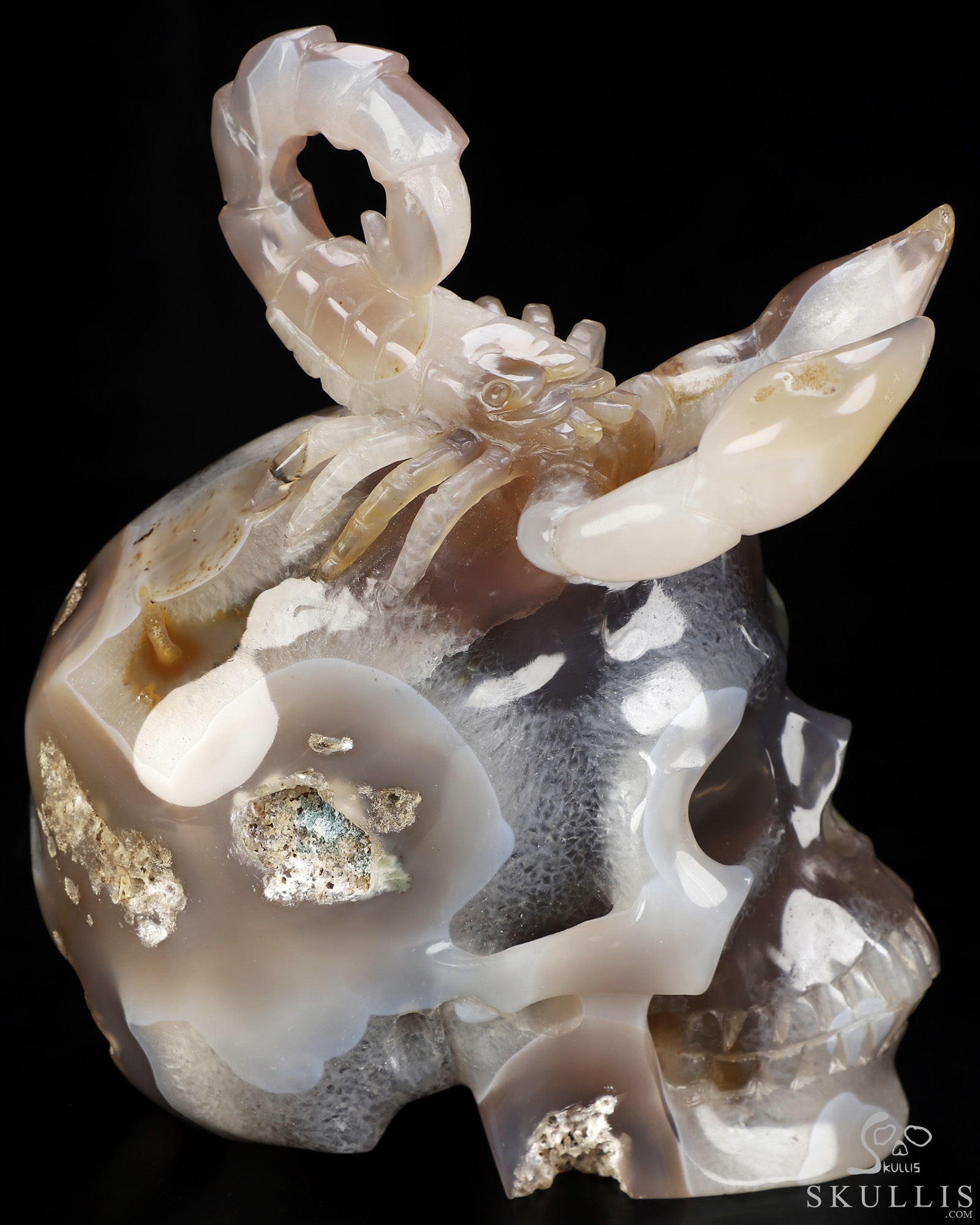 6.5" Agate Geode Hand Carved Crystal Skull and Scorpion Fine Art Sculpture, Crystal Healing 6.5" Agate Geode Hand Carved Crystal Skull and Scorpion Fine Art Sculpture, Crystal Healing